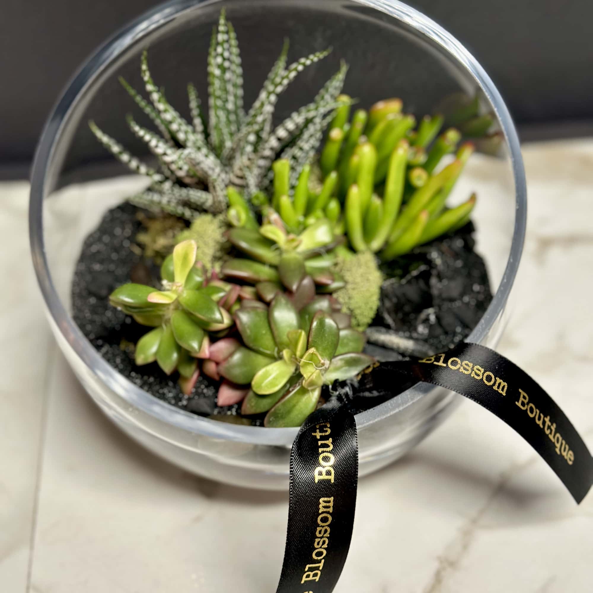 Add a touch of nature to any space with our slant terrarium., photo 2 of 3