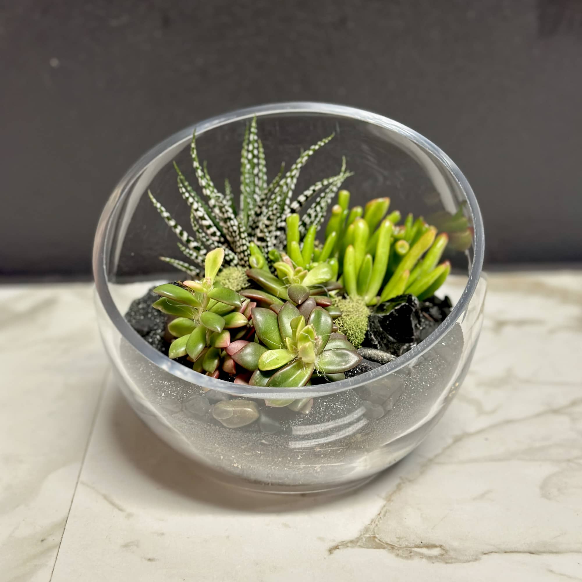 Add a touch of nature to any space with our slant terrarium., photo 3 of 3