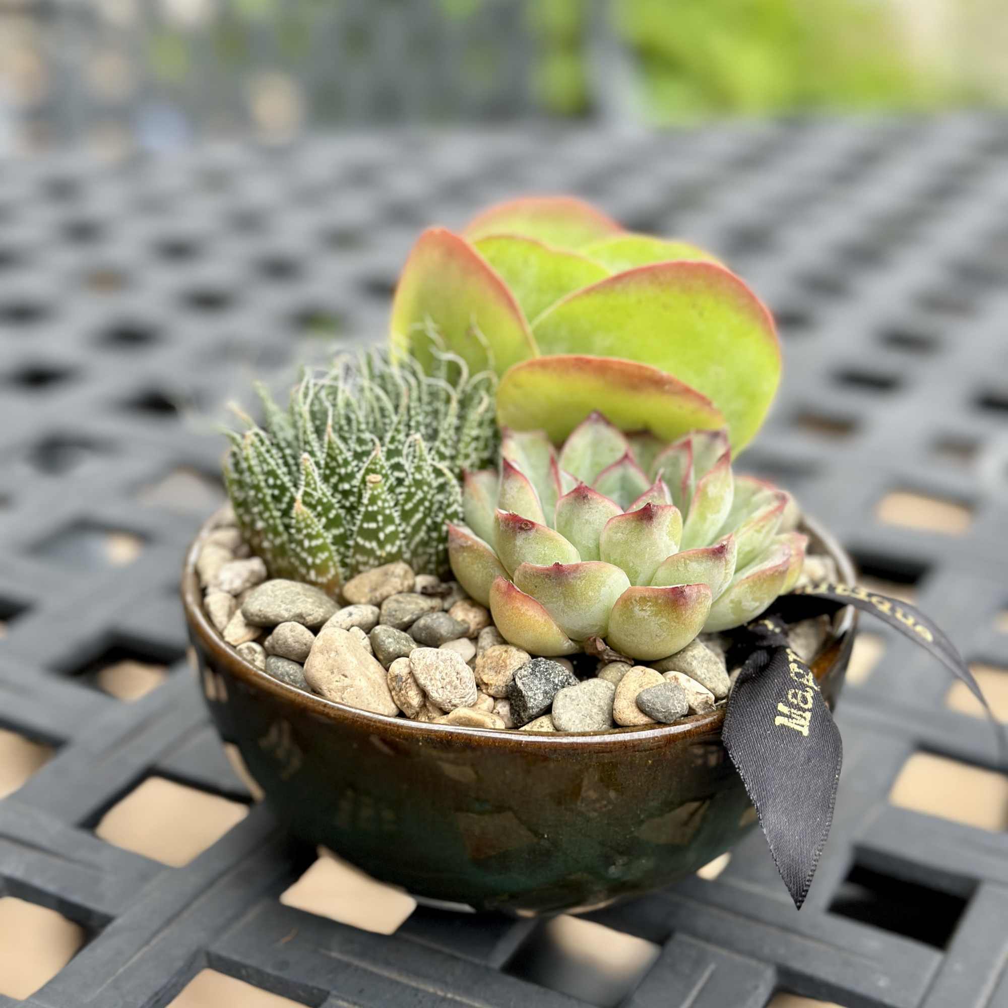 For the plant lover who values simplicity. This 5-inch low bowl features, photo 3 of 5