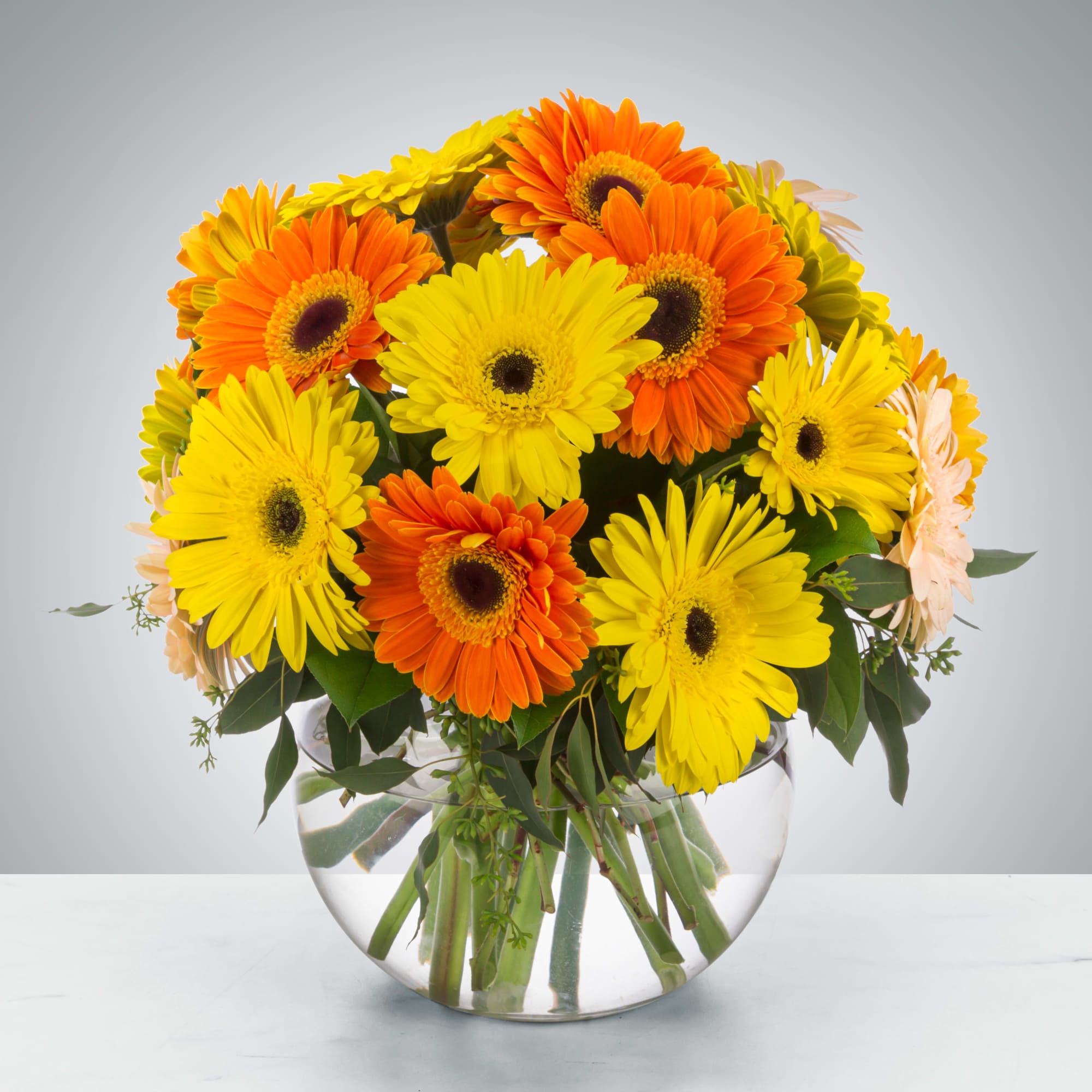 An instant brightener, send somebody a bowl full of Gerbera Daisies. To, photo 2 of 2