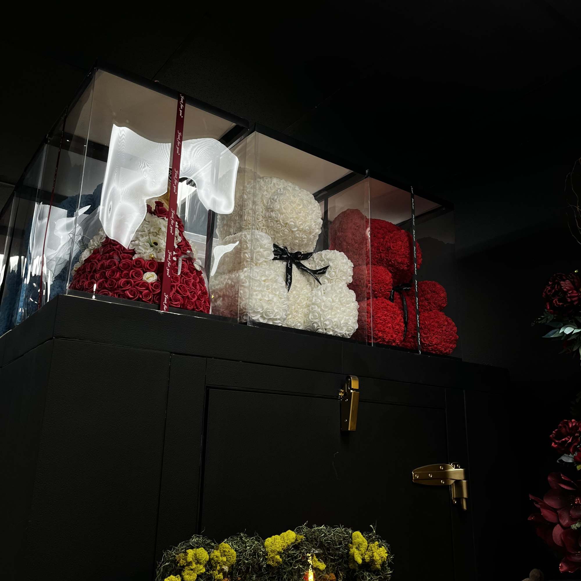Assorted rose teddy bears in clear display boxes on a dark shelf