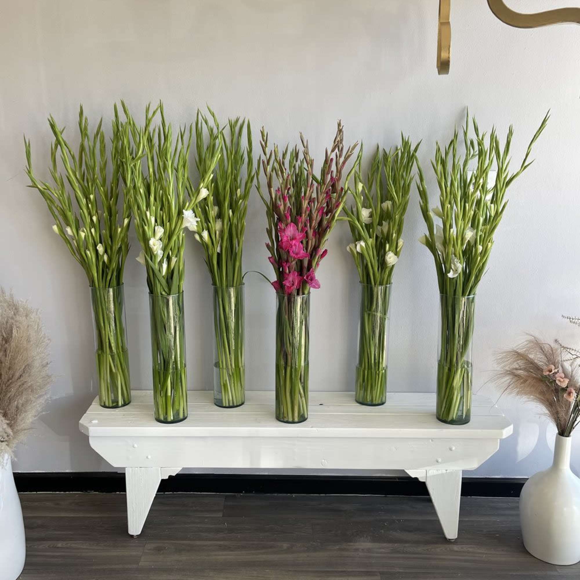 Tall glass vases with green gladiolus and one pink arrangement on a bench