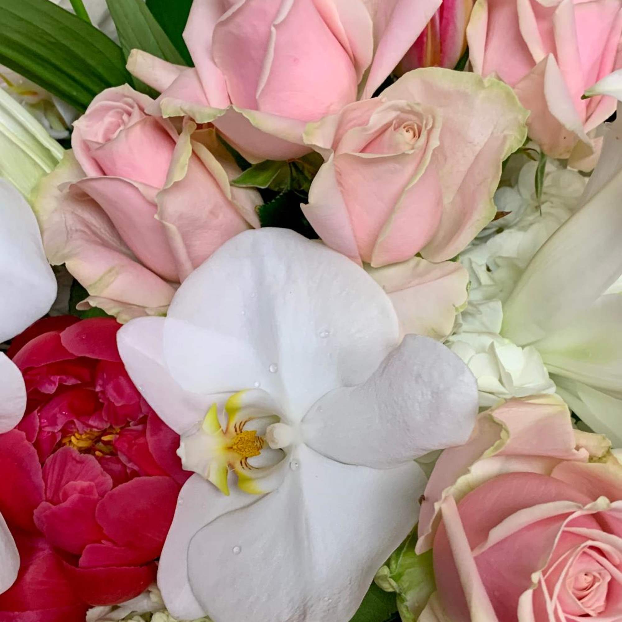 Close-up bouquet of pale pink roses with white orchids and a red peony