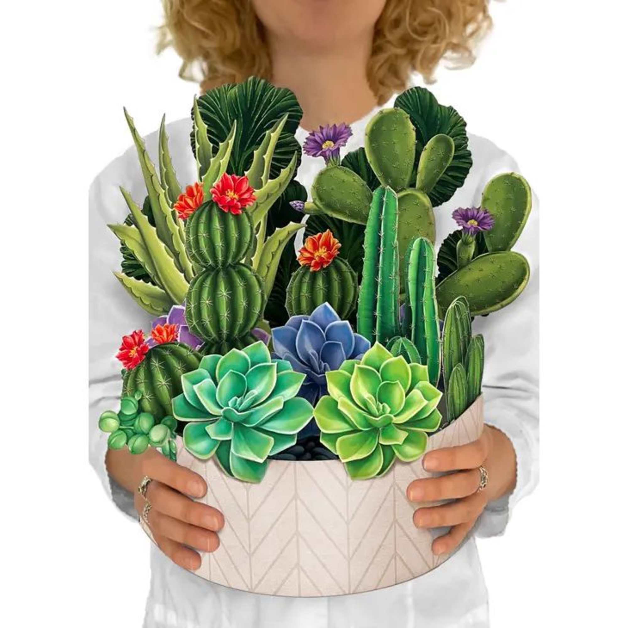 Child holding a round pot filled with illustrated succulents and cacti in bright colors