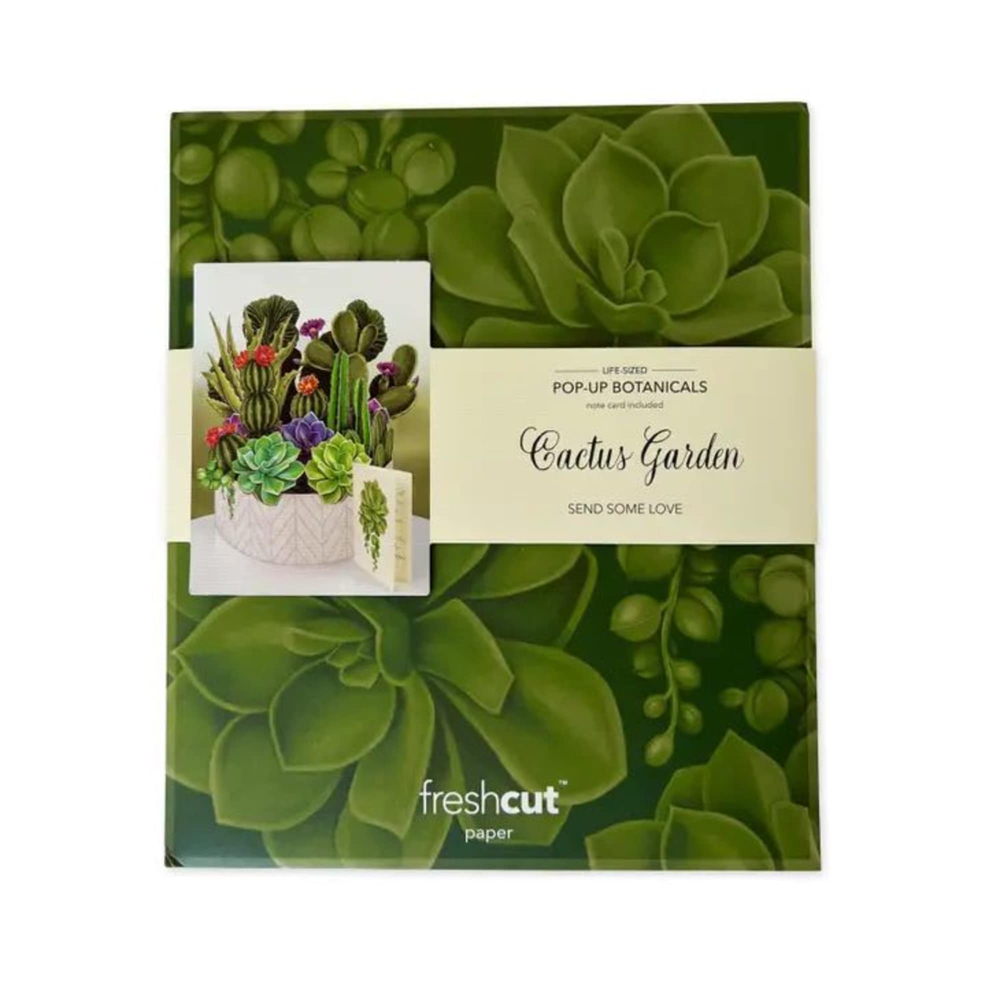 Cactus garden pop-up botanical card package with green succulent artwork