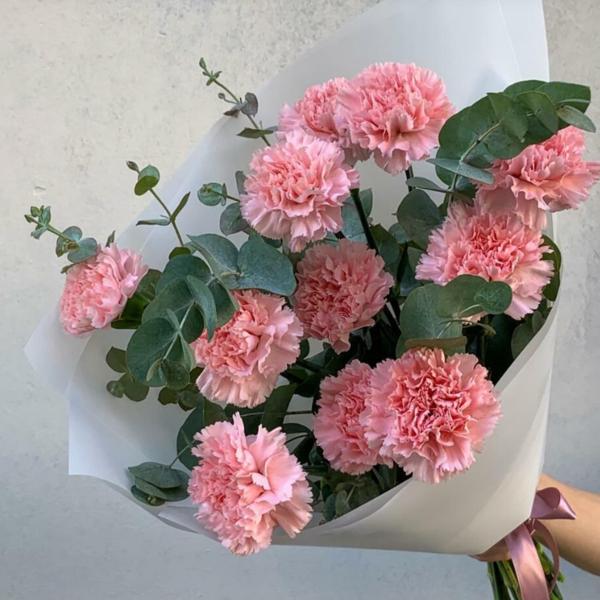 Bouquet of pink carnations with eucalyptus in white wrap