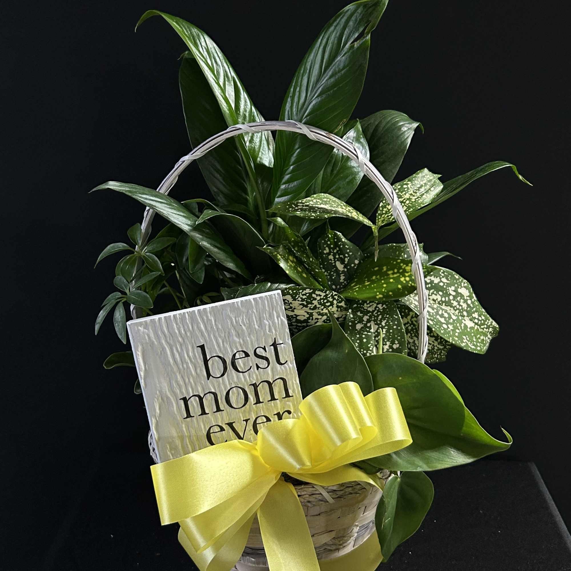 Basket of green houseplants with a yellow ribbon and "best mom ever" sign