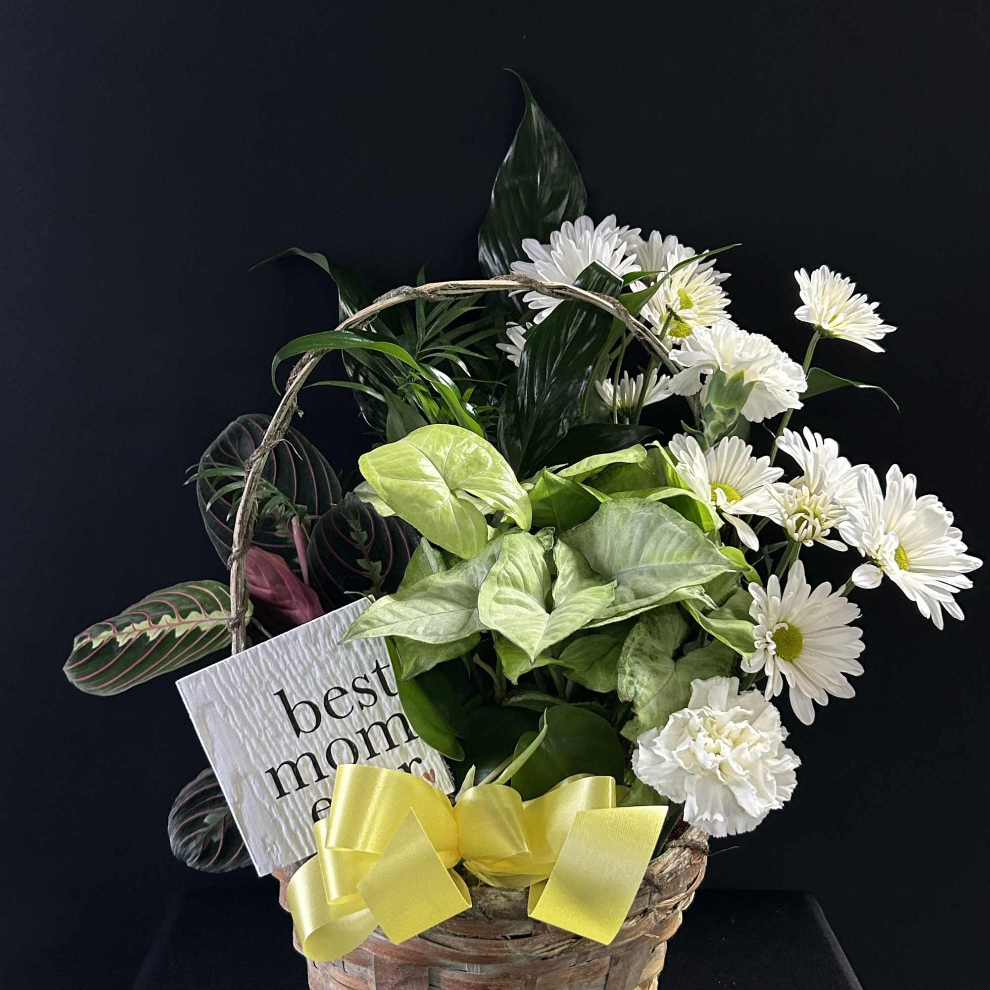 Basket arrangement with white daisies, green foliage, and a yellow ribbon