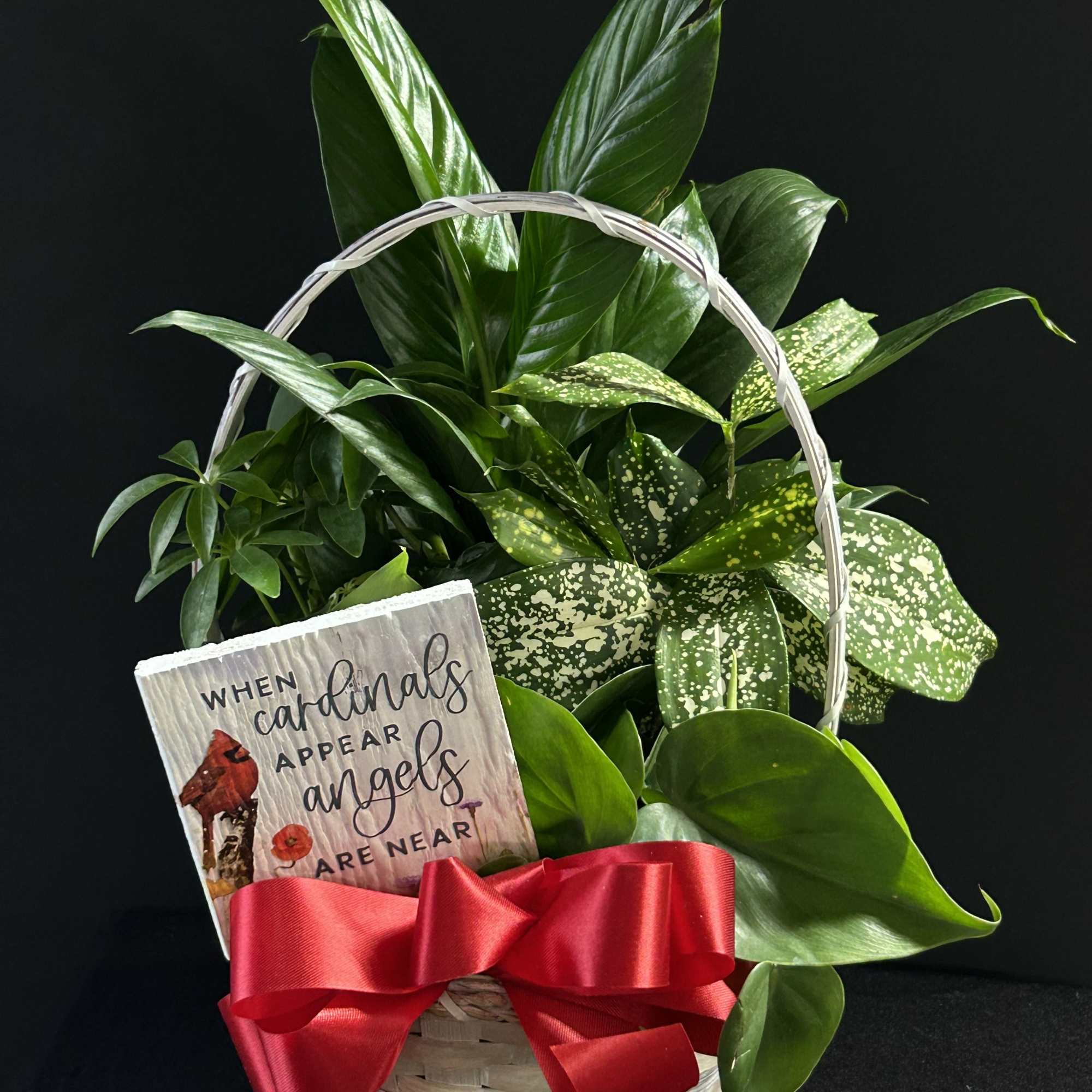 Basket of green houseplants with a sympathy card and red ribbon