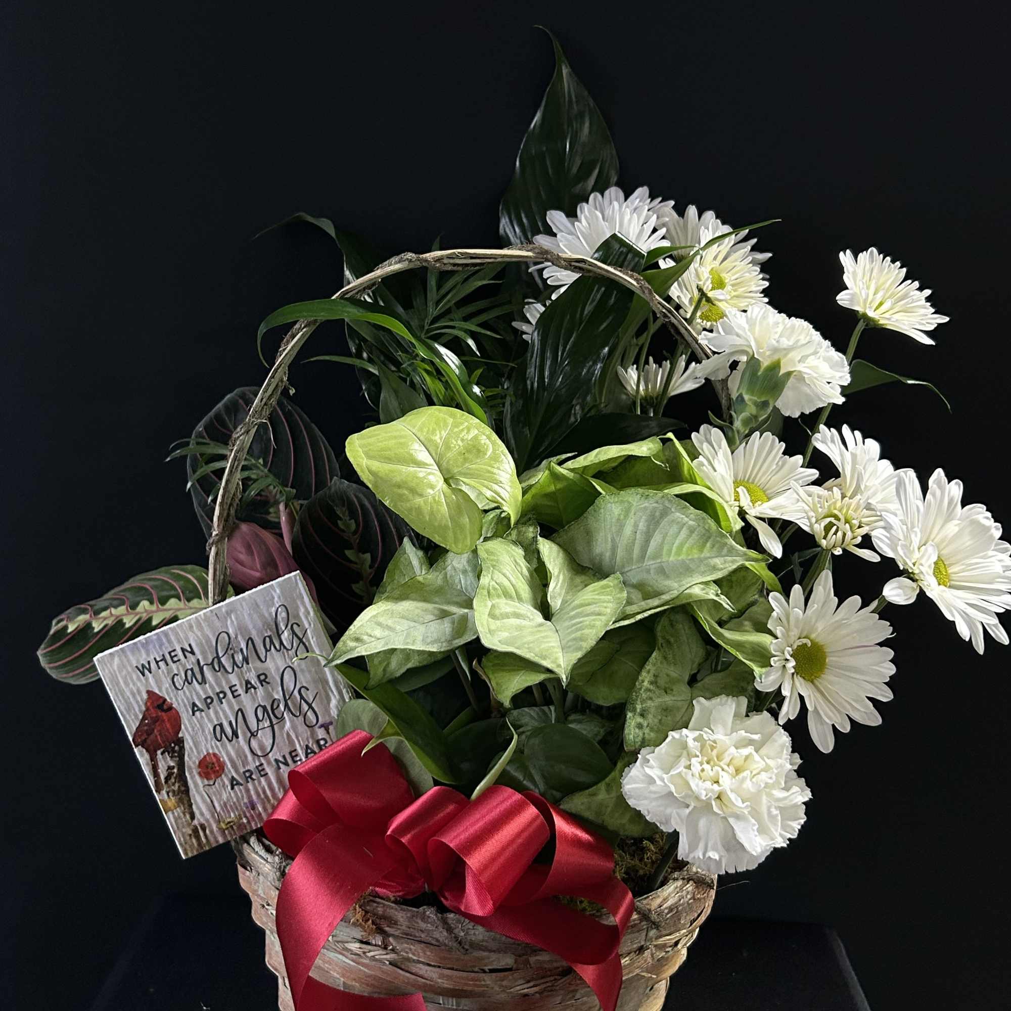 Basket arrangement with white daisies and green foliage, accented by a red ribbon