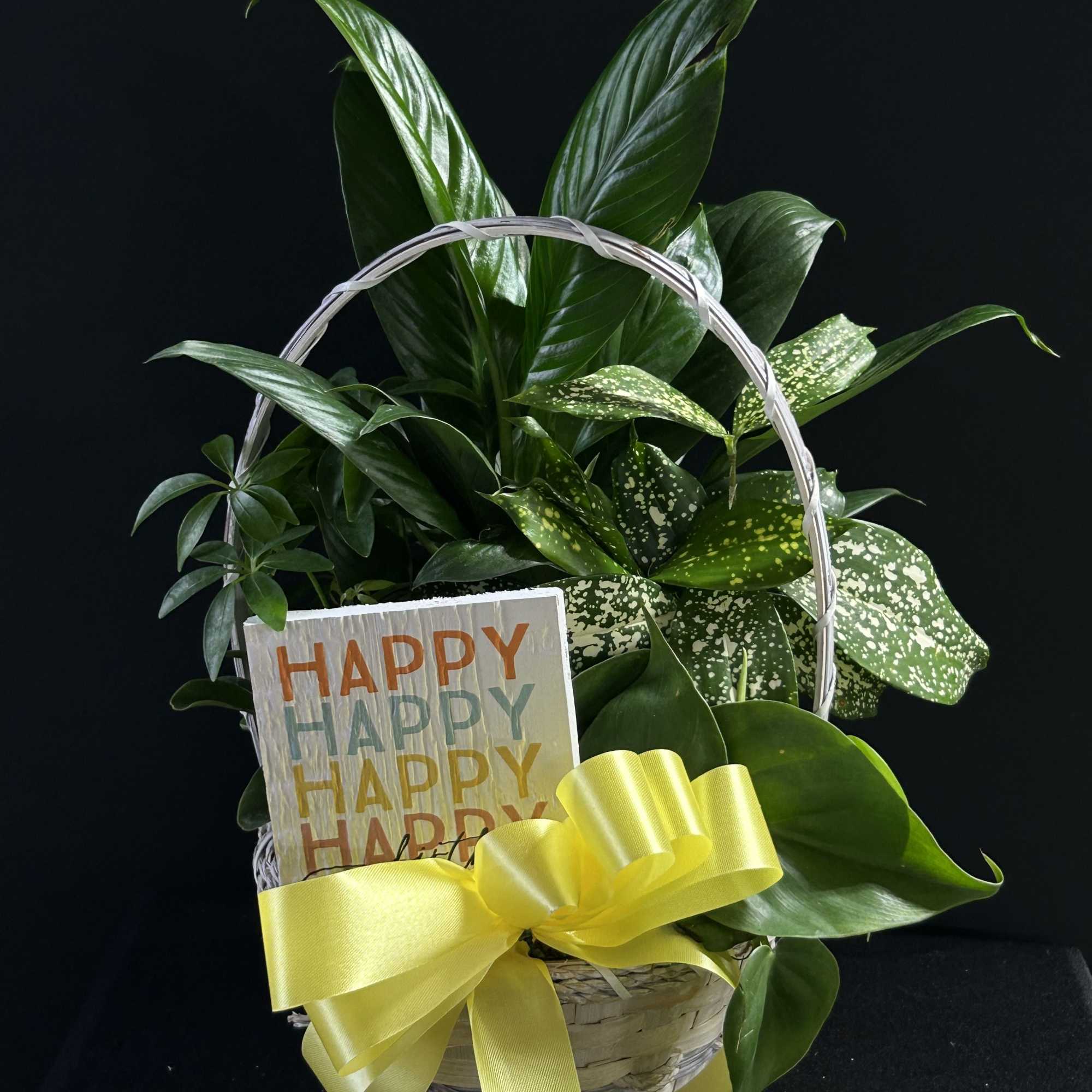 Basket of green houseplants with a yellow ribbon and a "Happy" card