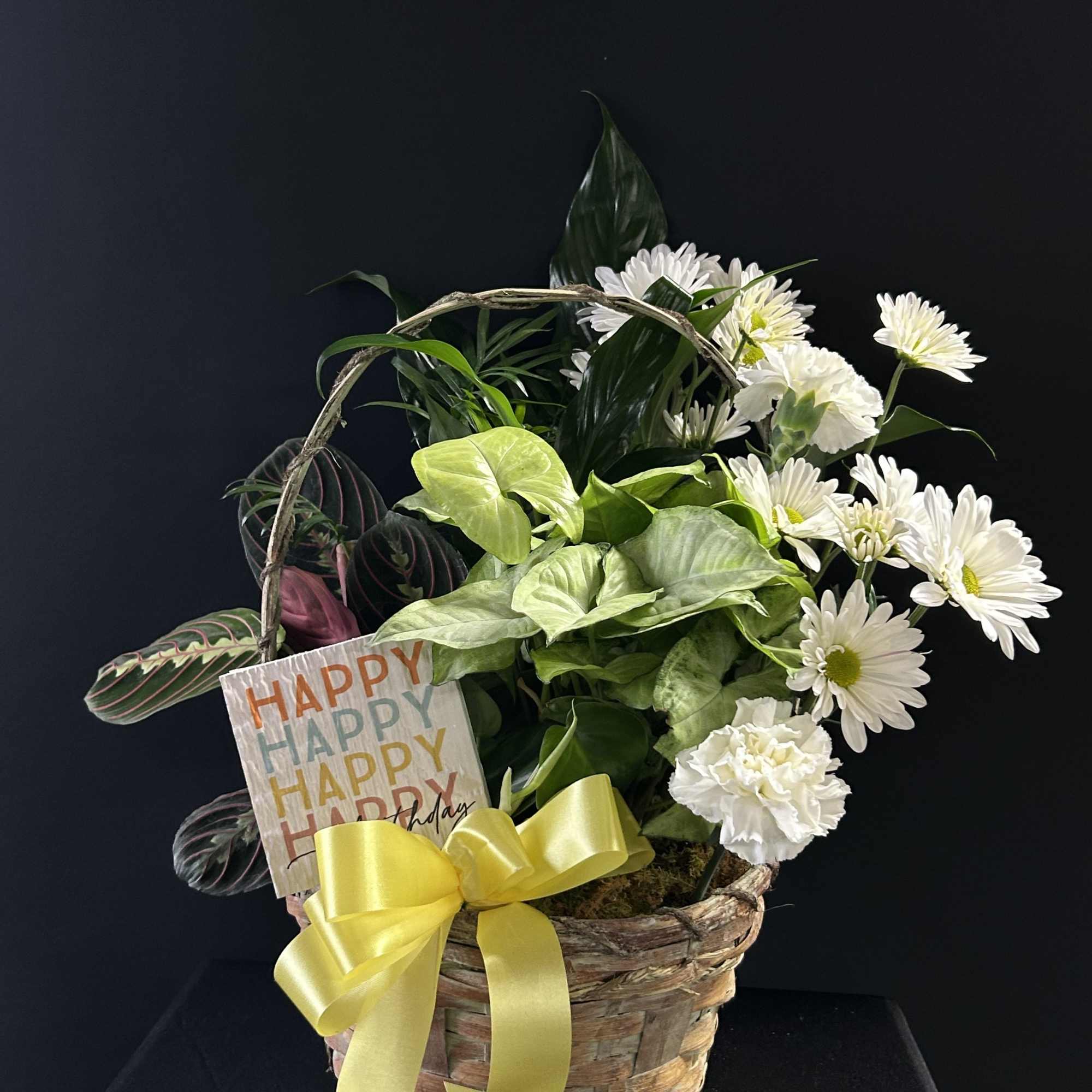 Basket arrangement of white daisies and mixed green plants with a yellow bow