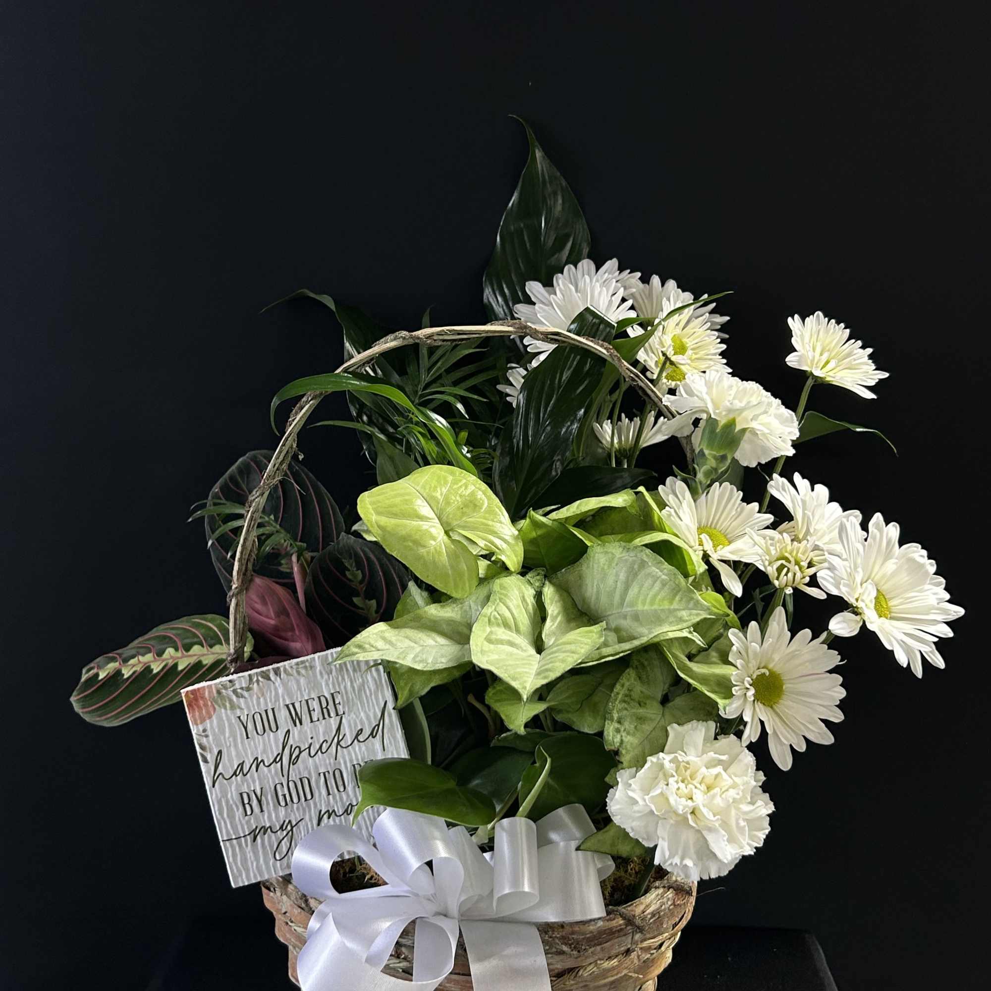 Basket arrangement of white daisies and green houseplants with a ribbon