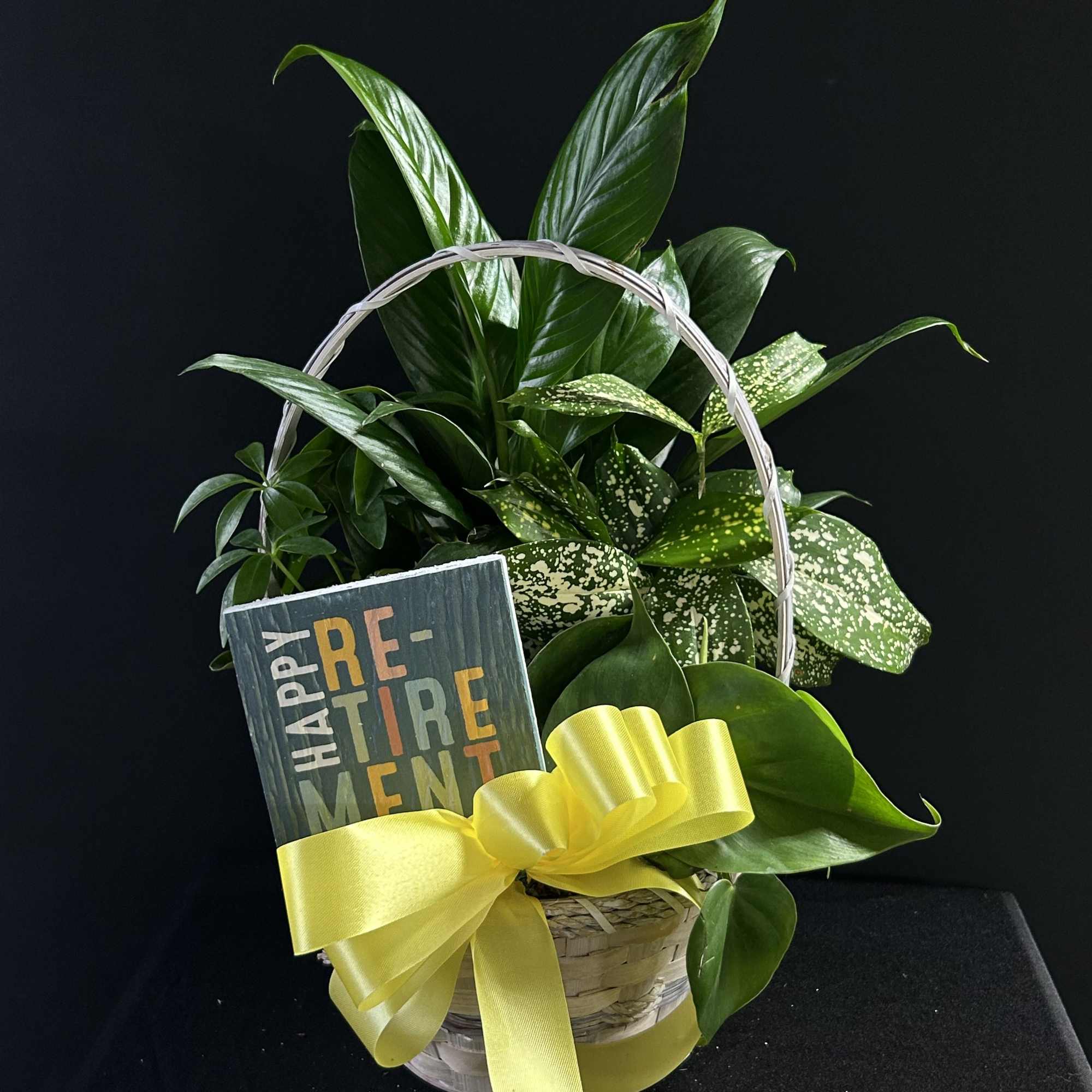 Basket of green houseplants with a yellow ribbon and retirement sign