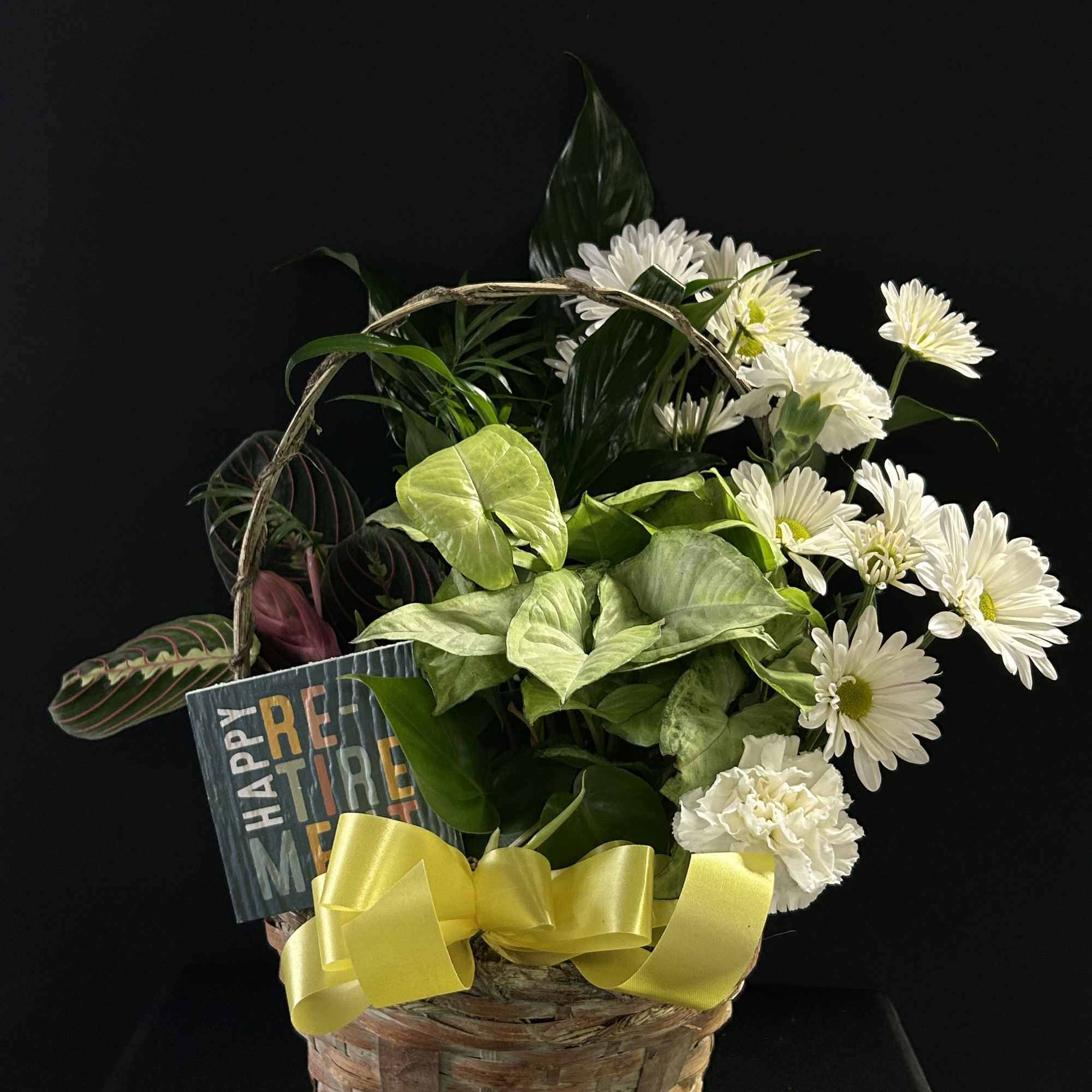 Basket arrangement with white daisies, green foliage, and a yellow ribbon