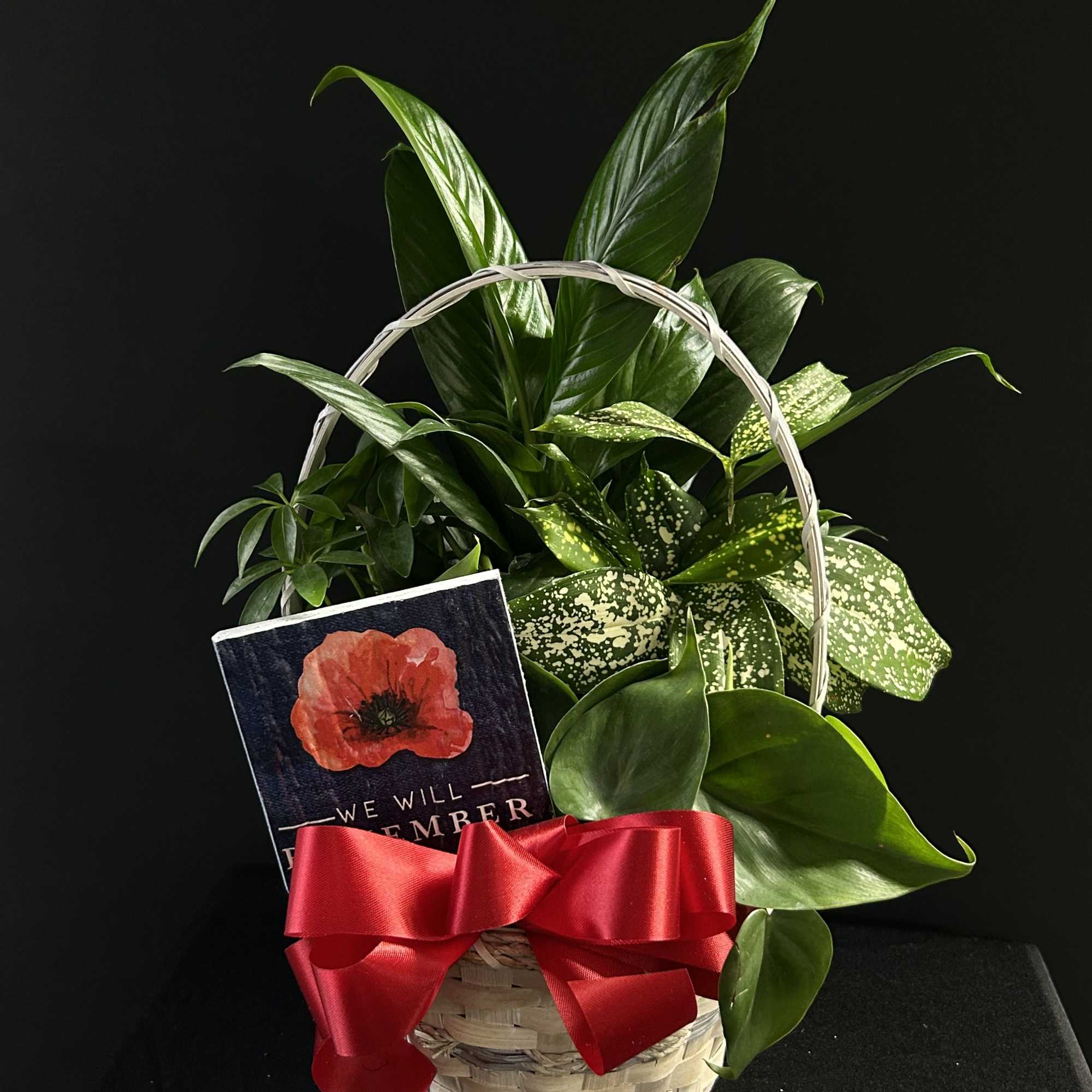 Basket of green houseplants with a red ribbon and memorial card