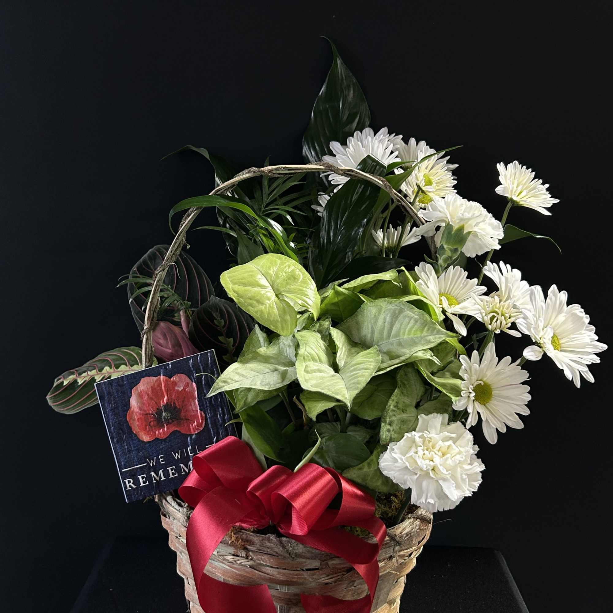 Basket arrangement with white daisies, carnations, and green foliage with a red ribbon