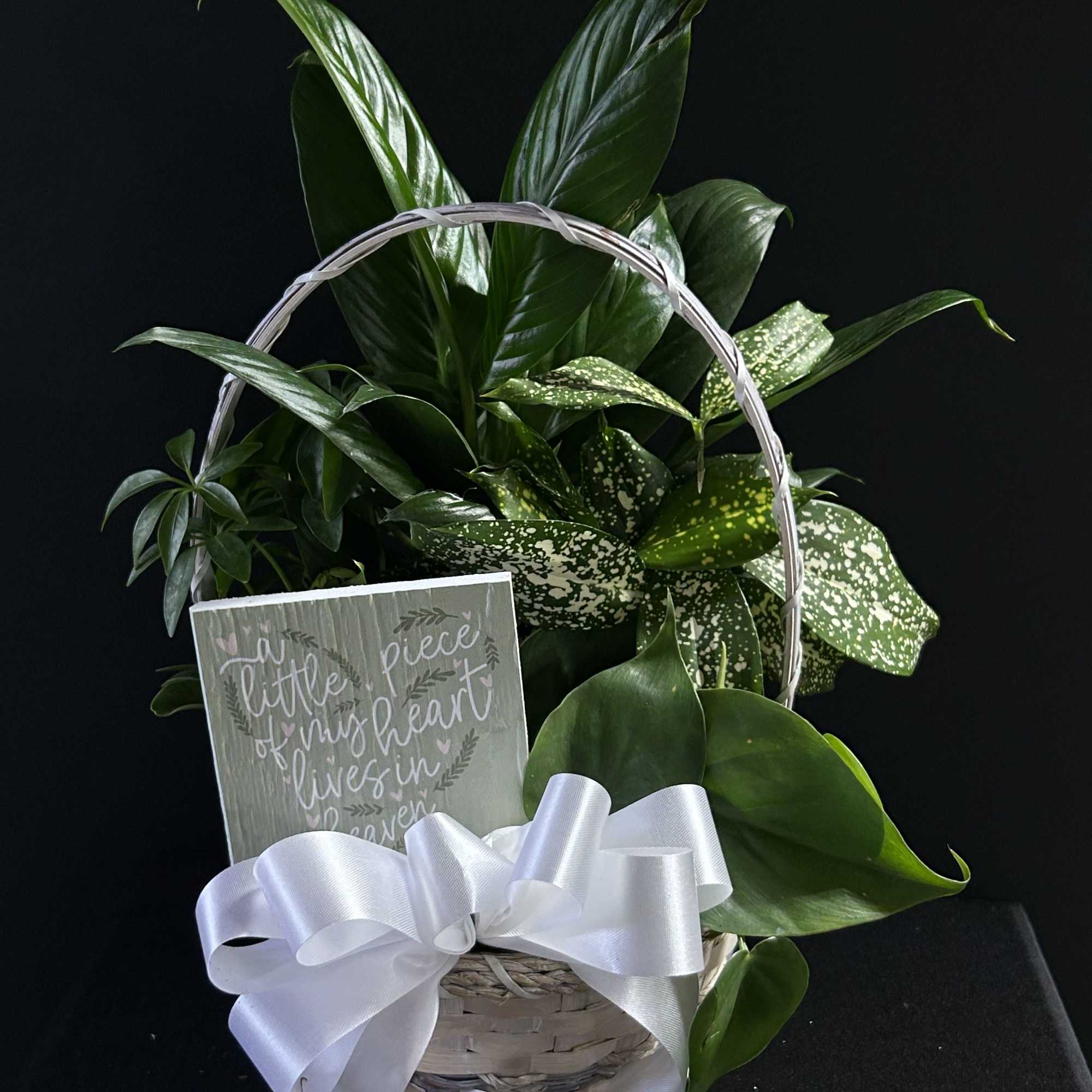 Basket of green houseplants with a white ribbon and a small sign