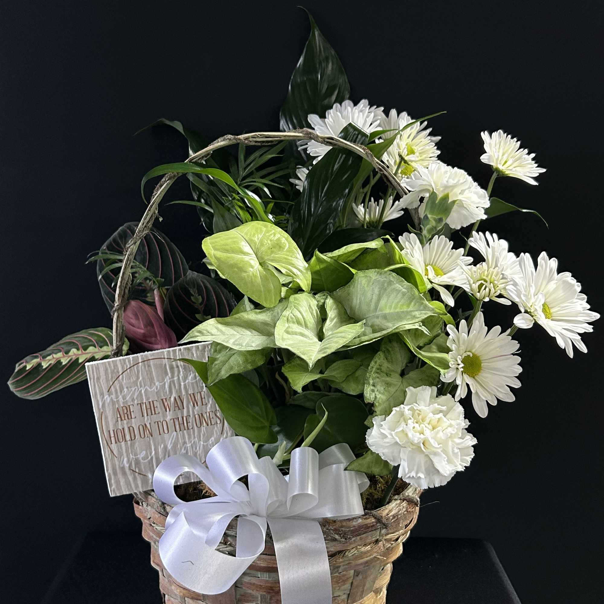 Basket arrangement with white daisies, green foliage, and a white ribbon
