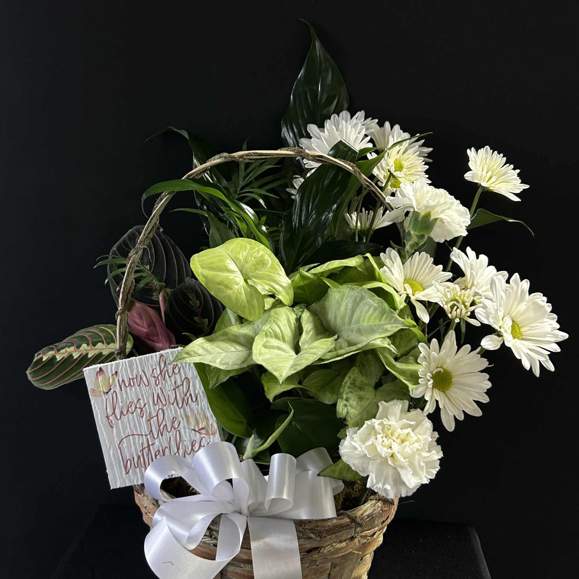 Basket arrangement of white daisies and green foliage with a ribbon