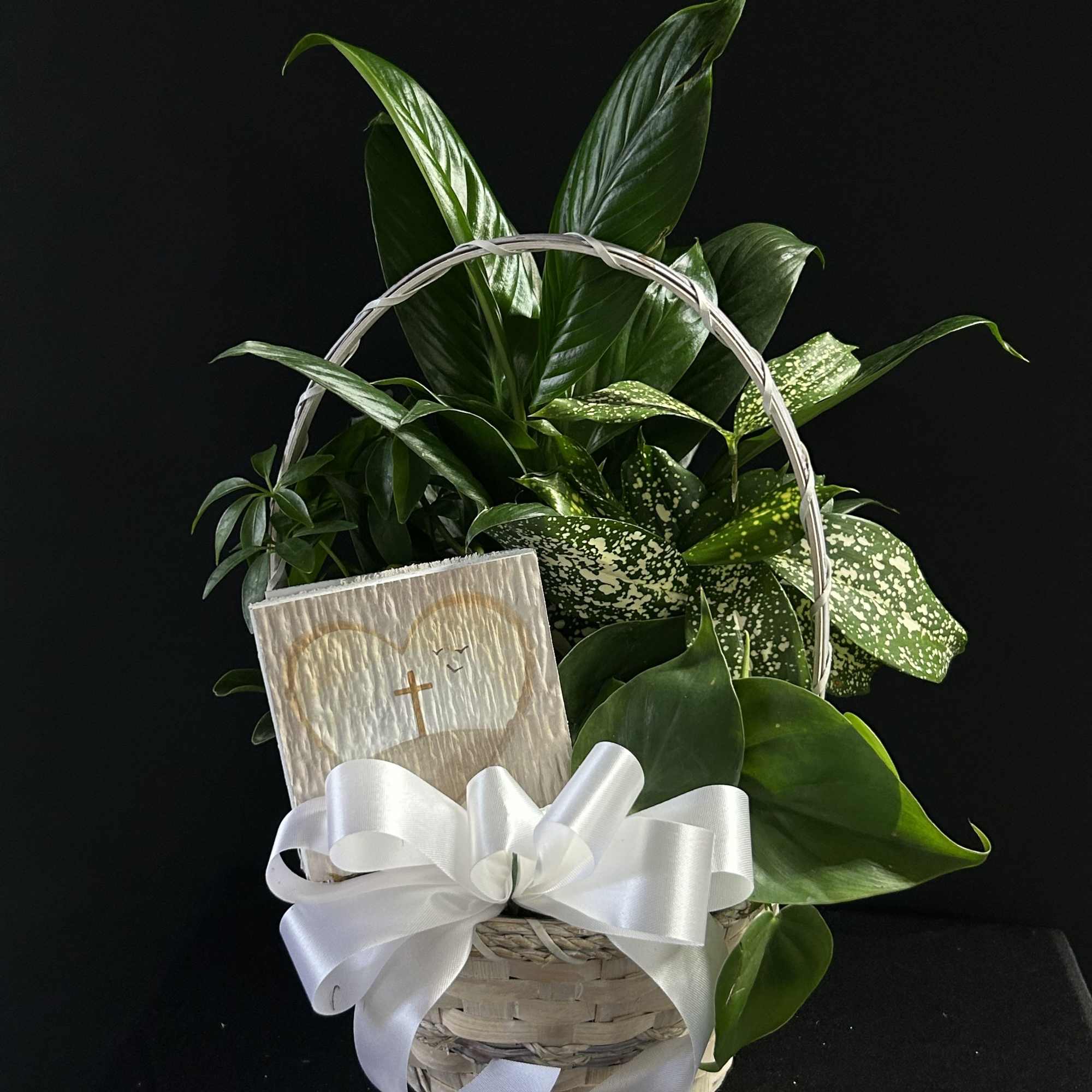 Basket of green houseplants with a white ribbon and sympathy card