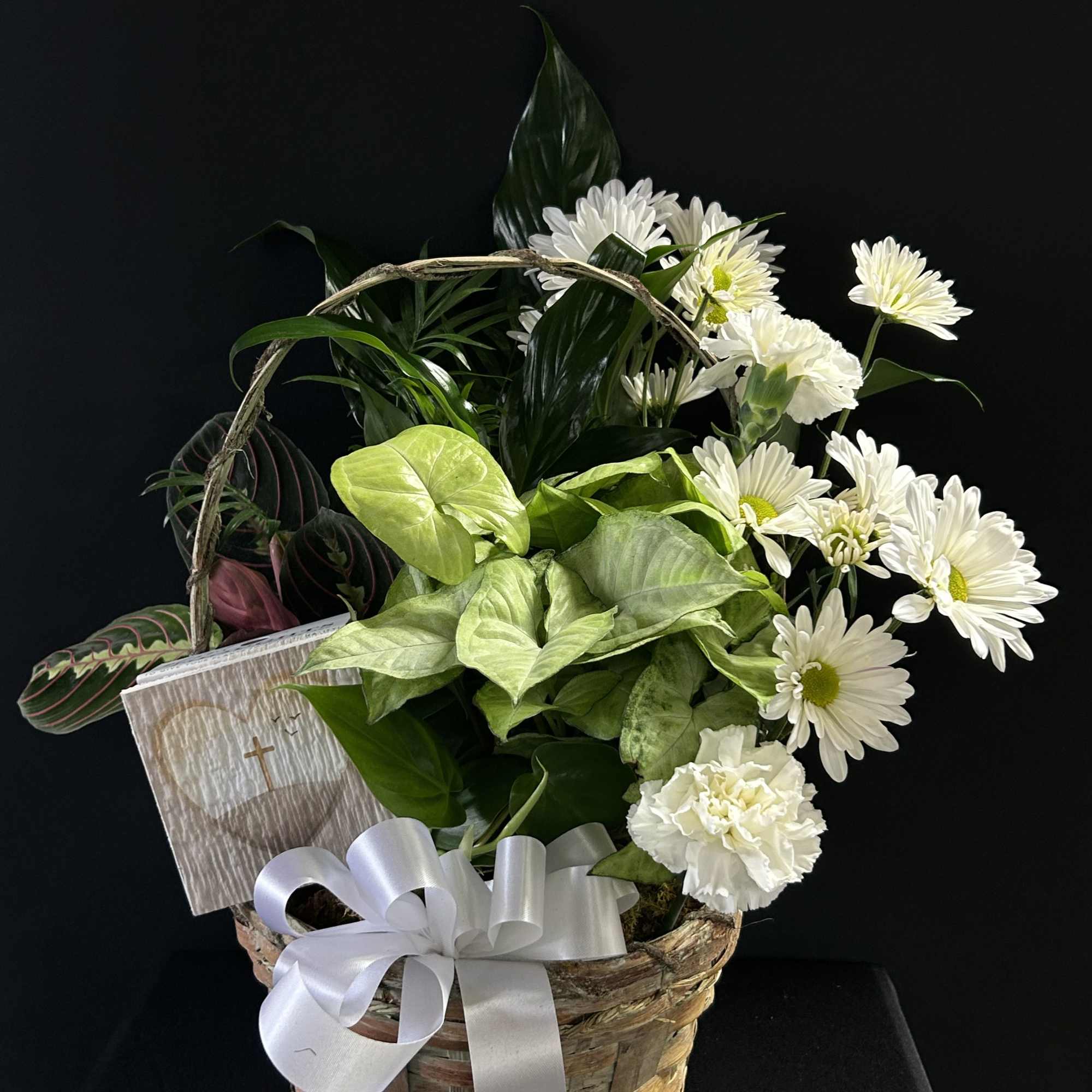 Basket arrangement with white daisies and green foliage, plus a sympathy card and ribbon