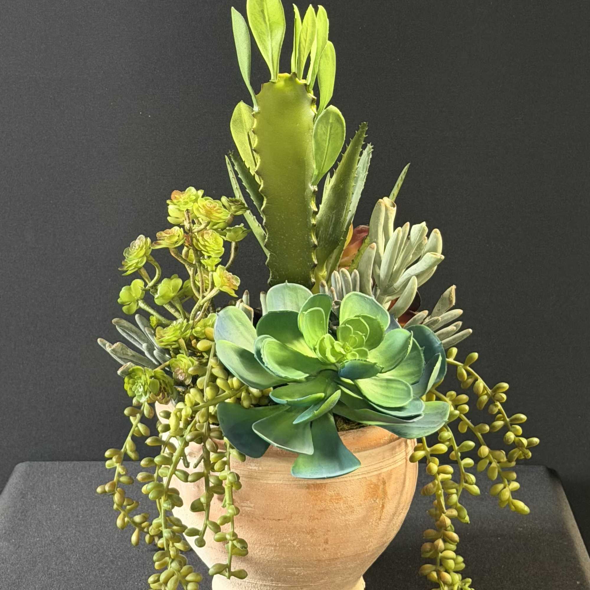 A sculptural tabletop plant arrangement that brings desert-chic style indoors - perfect