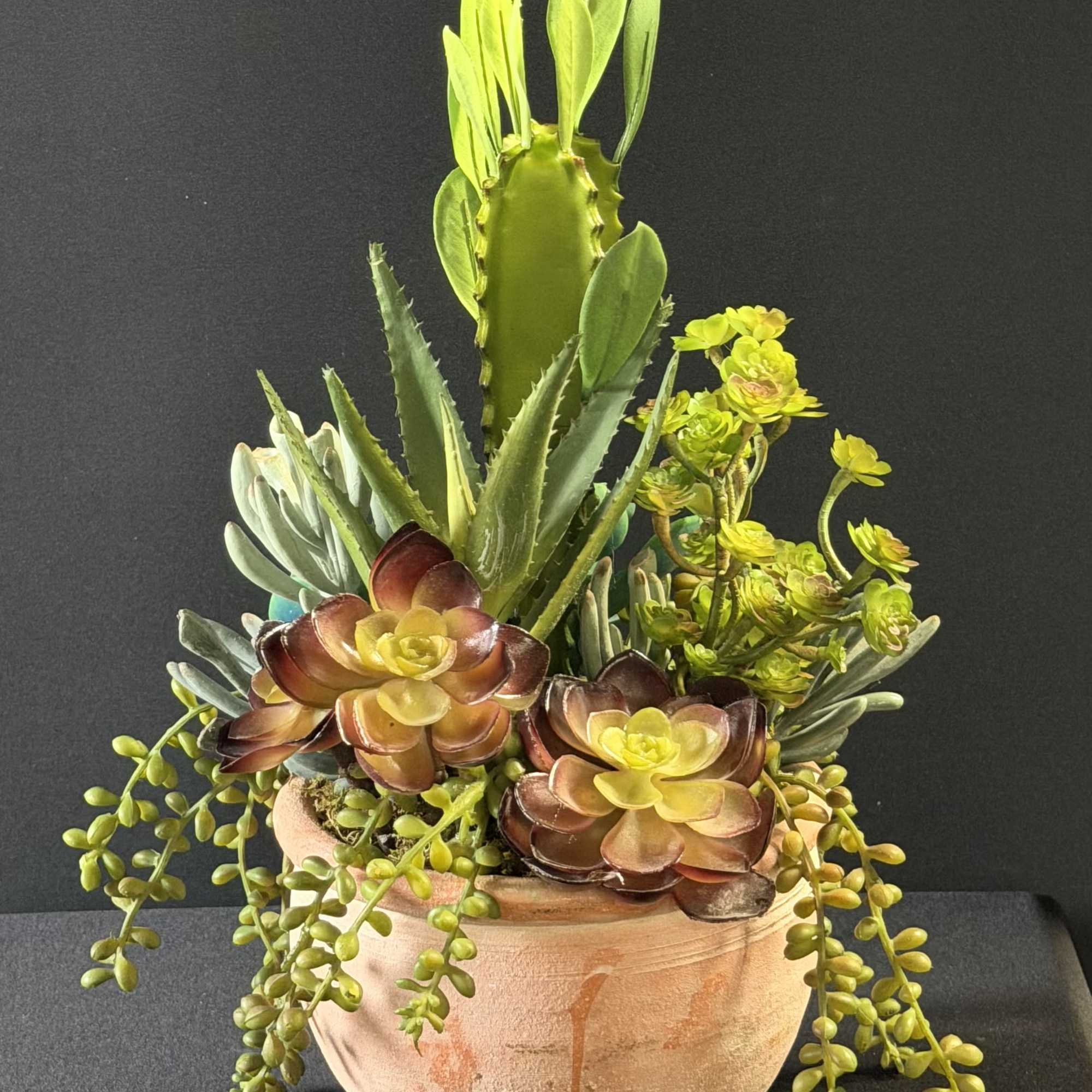A sculptural tabletop plant arrangement that brings desert-chic style indoors - perfect, photo 2 of 2