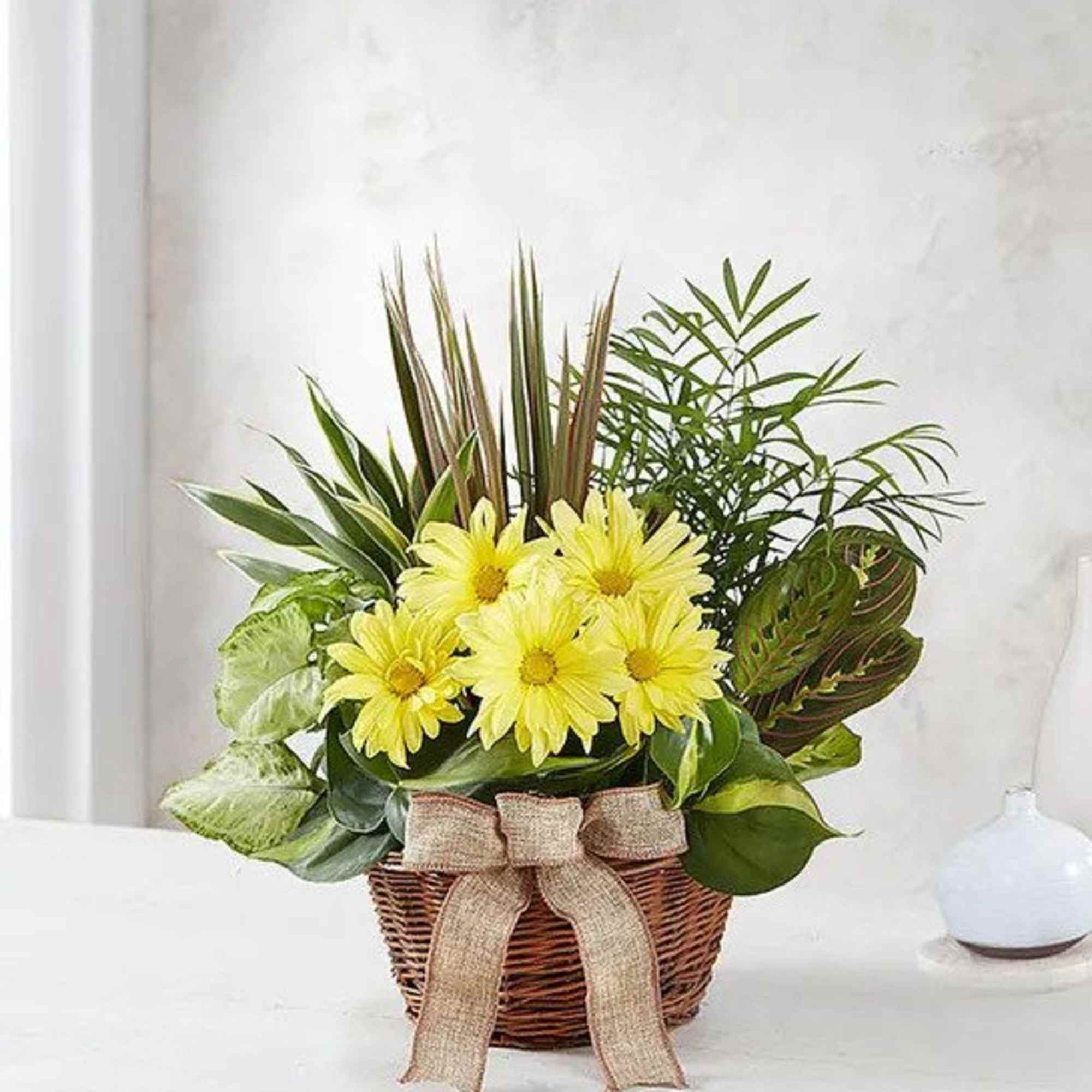 Lush green plants and yellow daisy flowers in a wicker basket with a burlap bow.