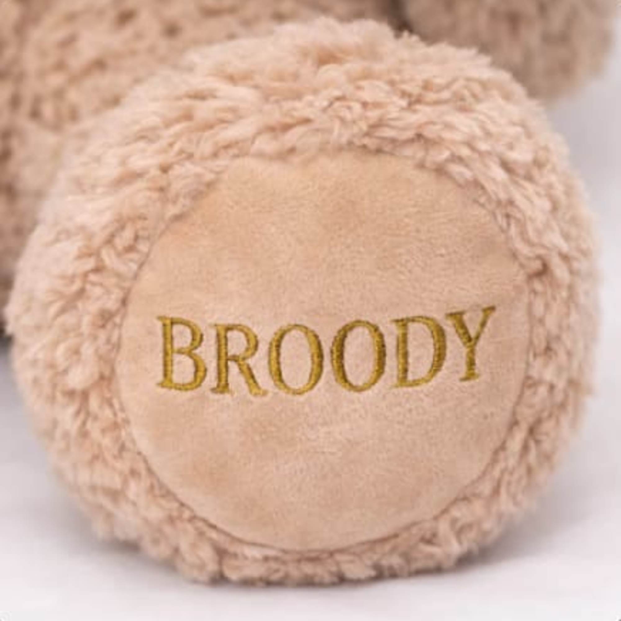 Plush round pillow with the word "BROODY" embroidered on it