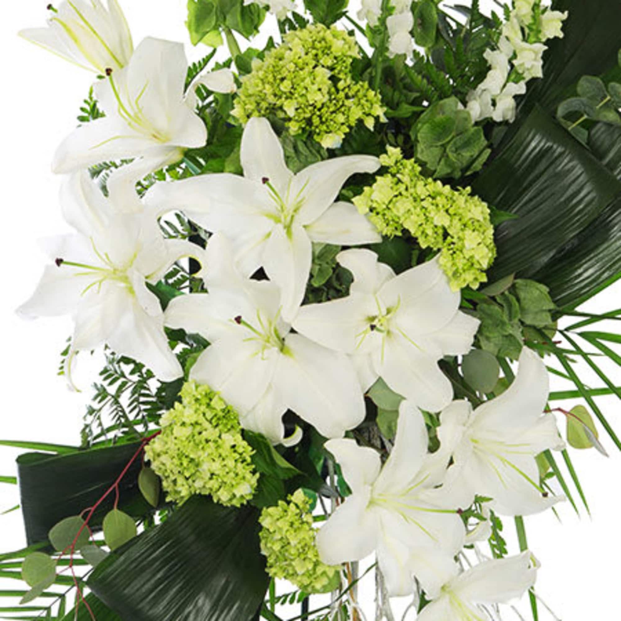 Tall arrangement of white lilies with green hydrangea and Bells of Ireland