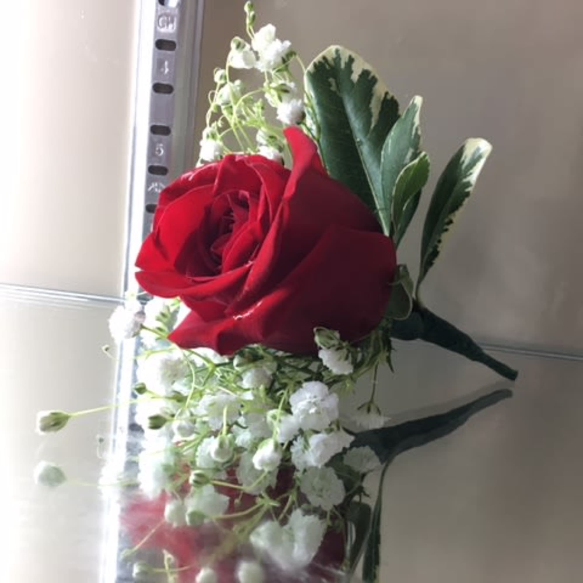 Red rose boutonniere with white baby's breath and variegated leaves