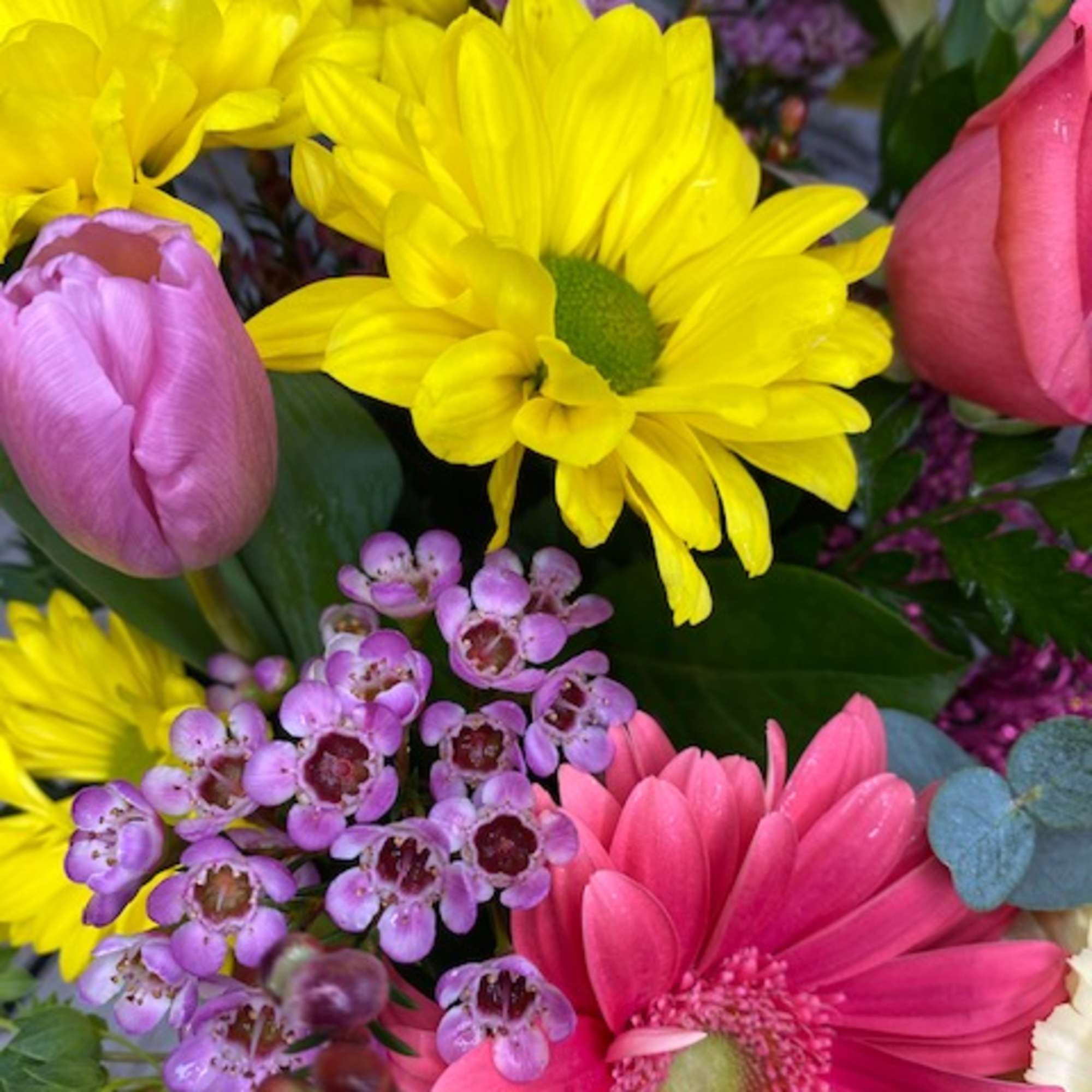 Bright mixed bouquet with yellow daisies, pink gerbera, and purple filler flowers