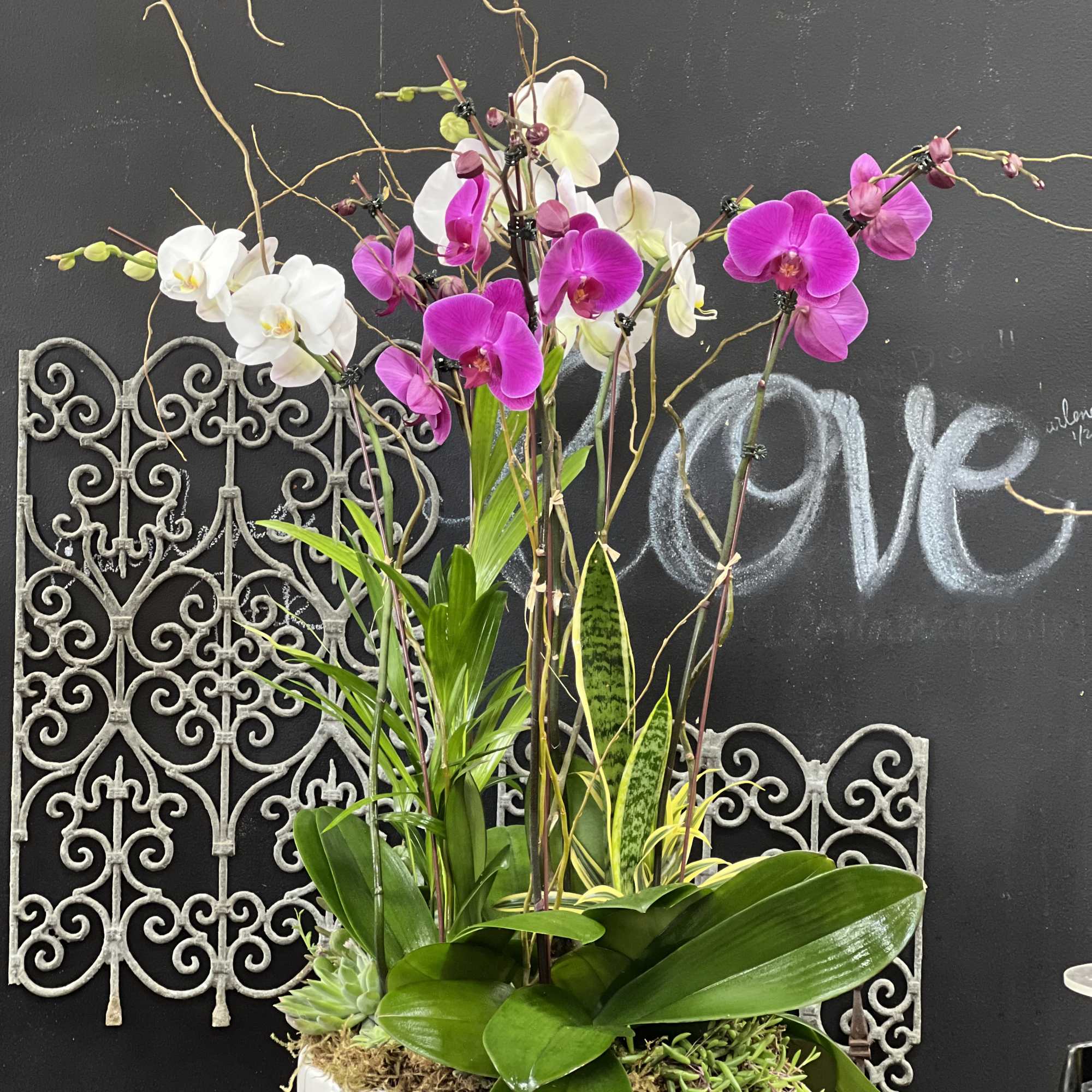 Tall orchid arrangement in a white planter with pink and white blooms