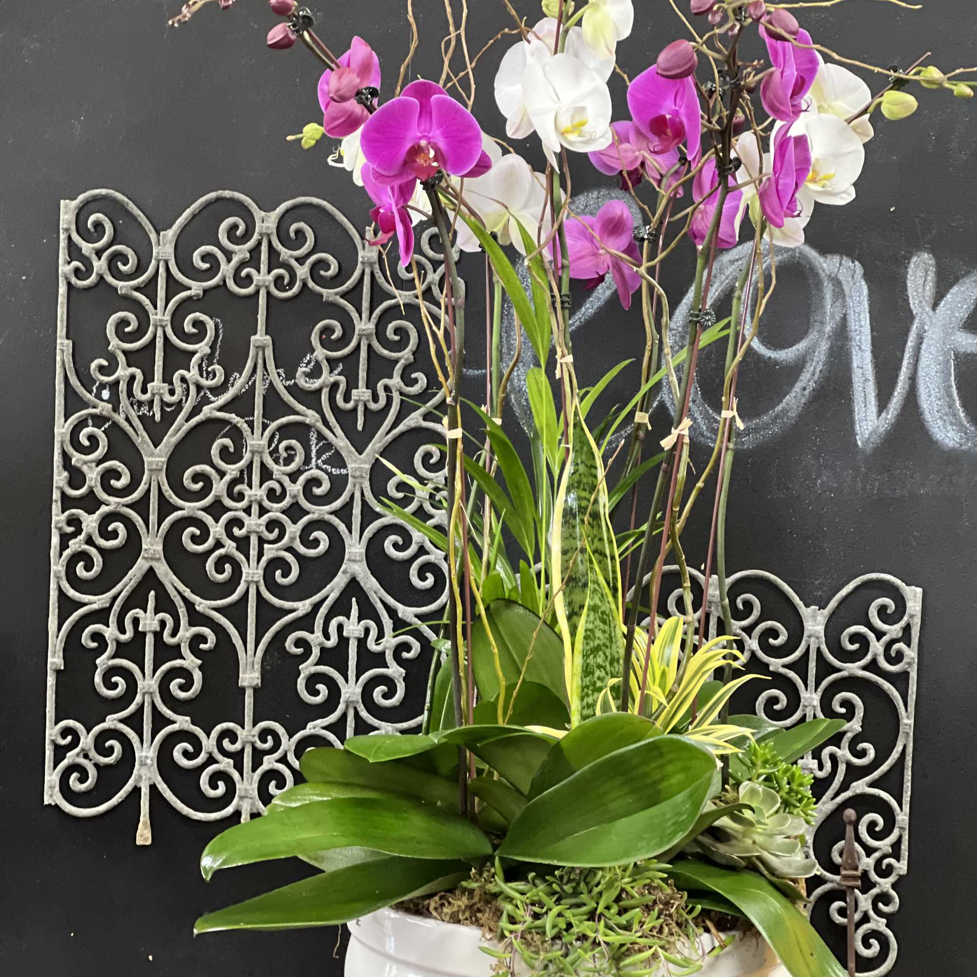 Potted orchids in pink and white with a white ceramic planter