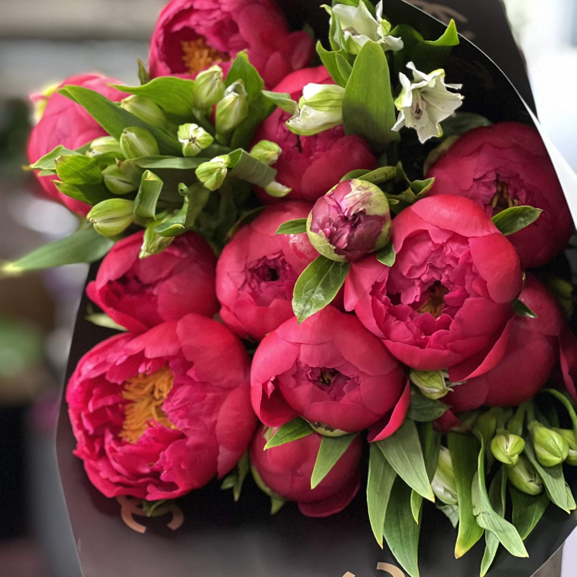 Bouquet of bright pink peonies with green buds wrapped in black paper
