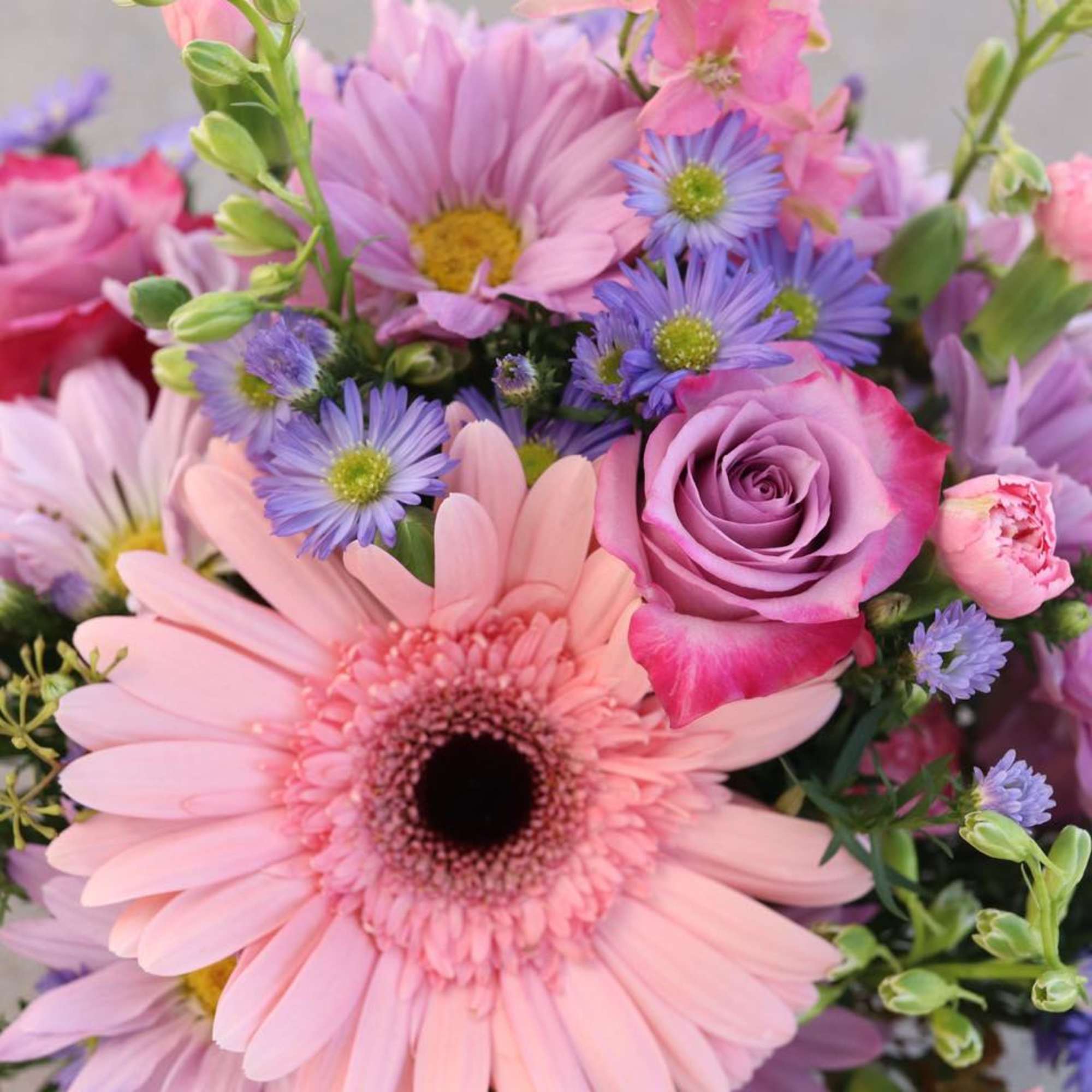 Pink gerbera daisy and lavender rose bouquet with purple daisies