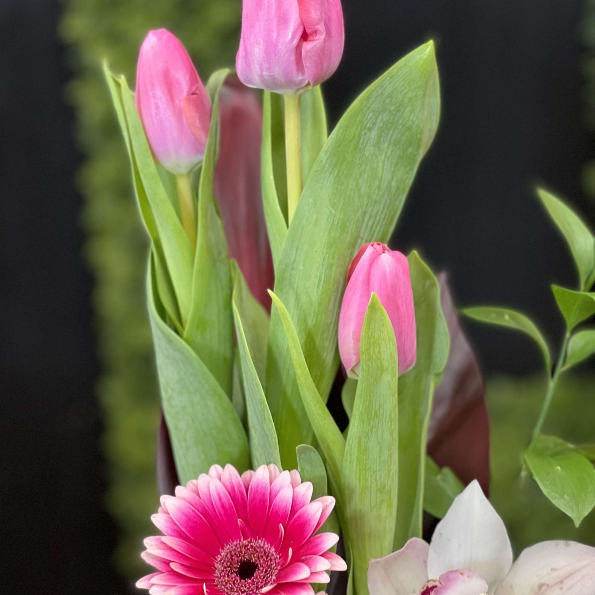 Pink tulips and gerbera daisies with a white orchid