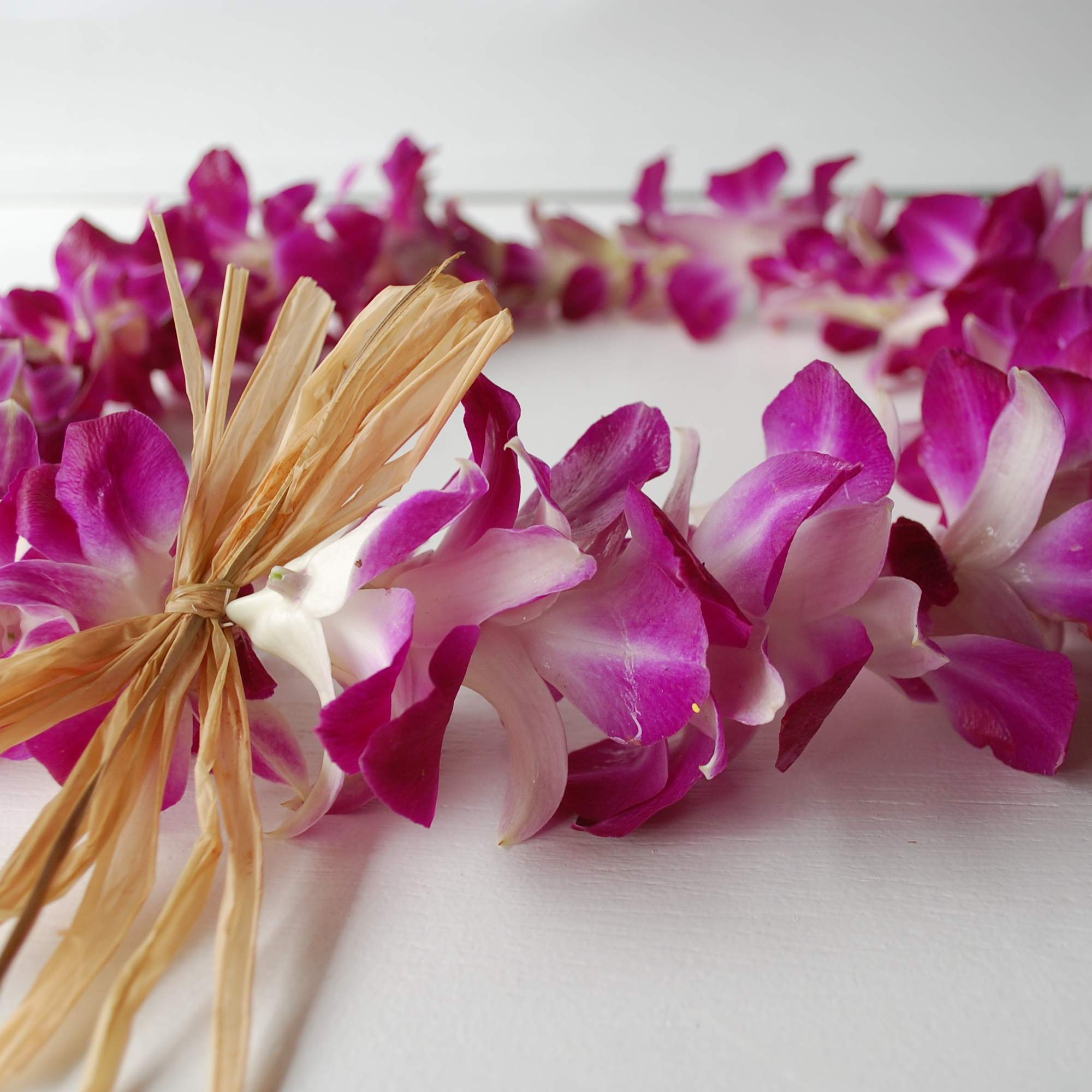 This graduation classic is full of Purple and White Orchids. Perfect for, photo 2 of 2