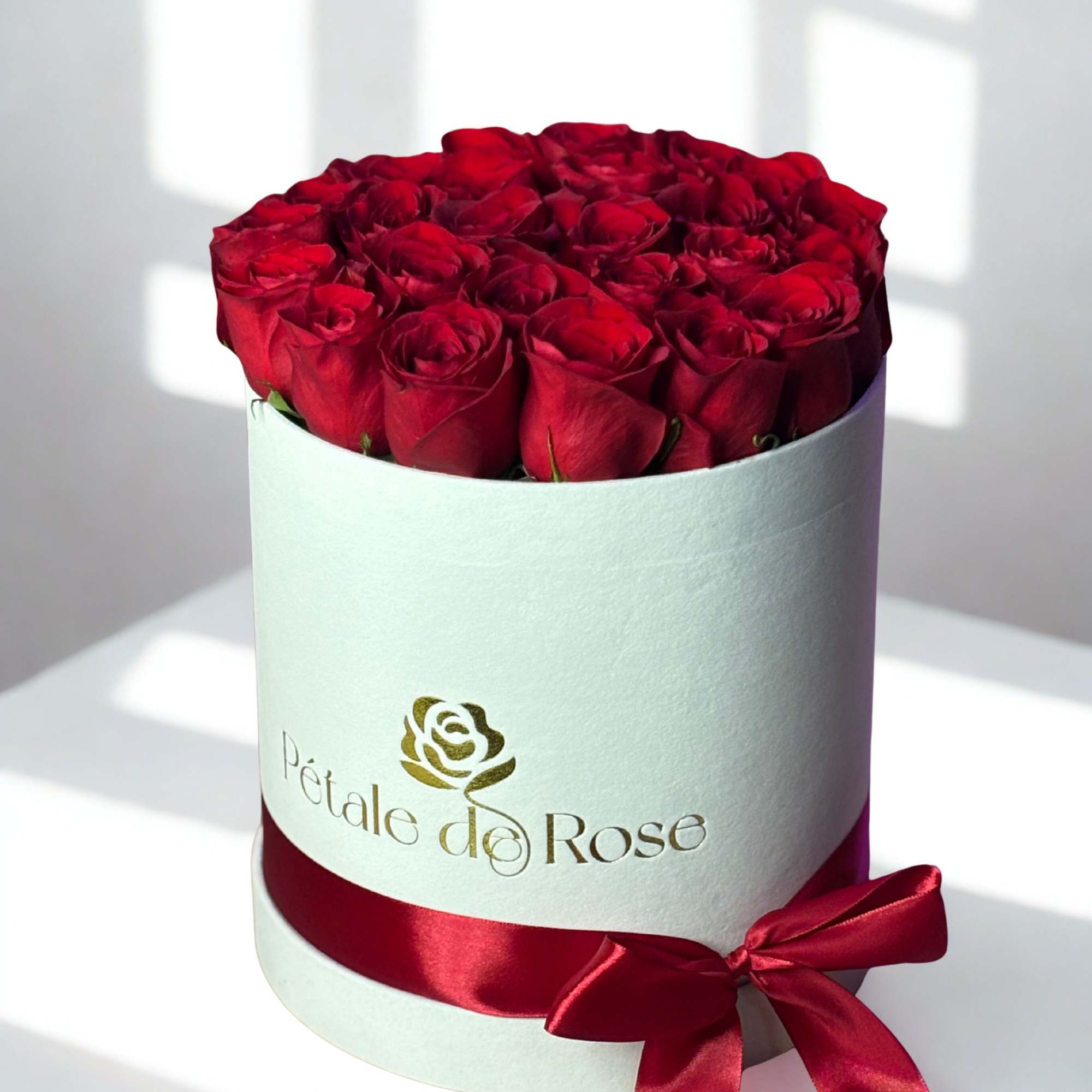 Enjoy our most lovely roses