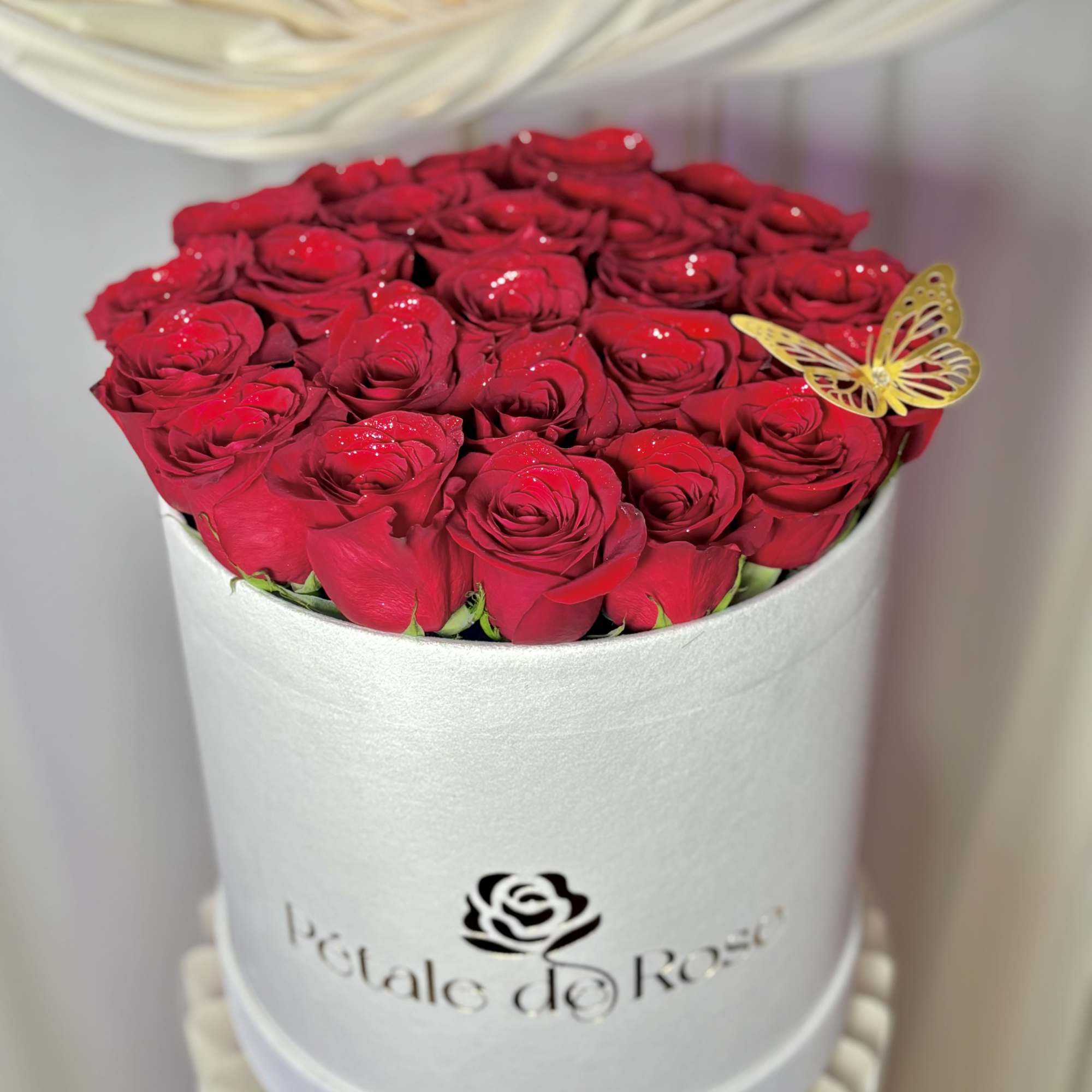Enjoy our most lovely roses