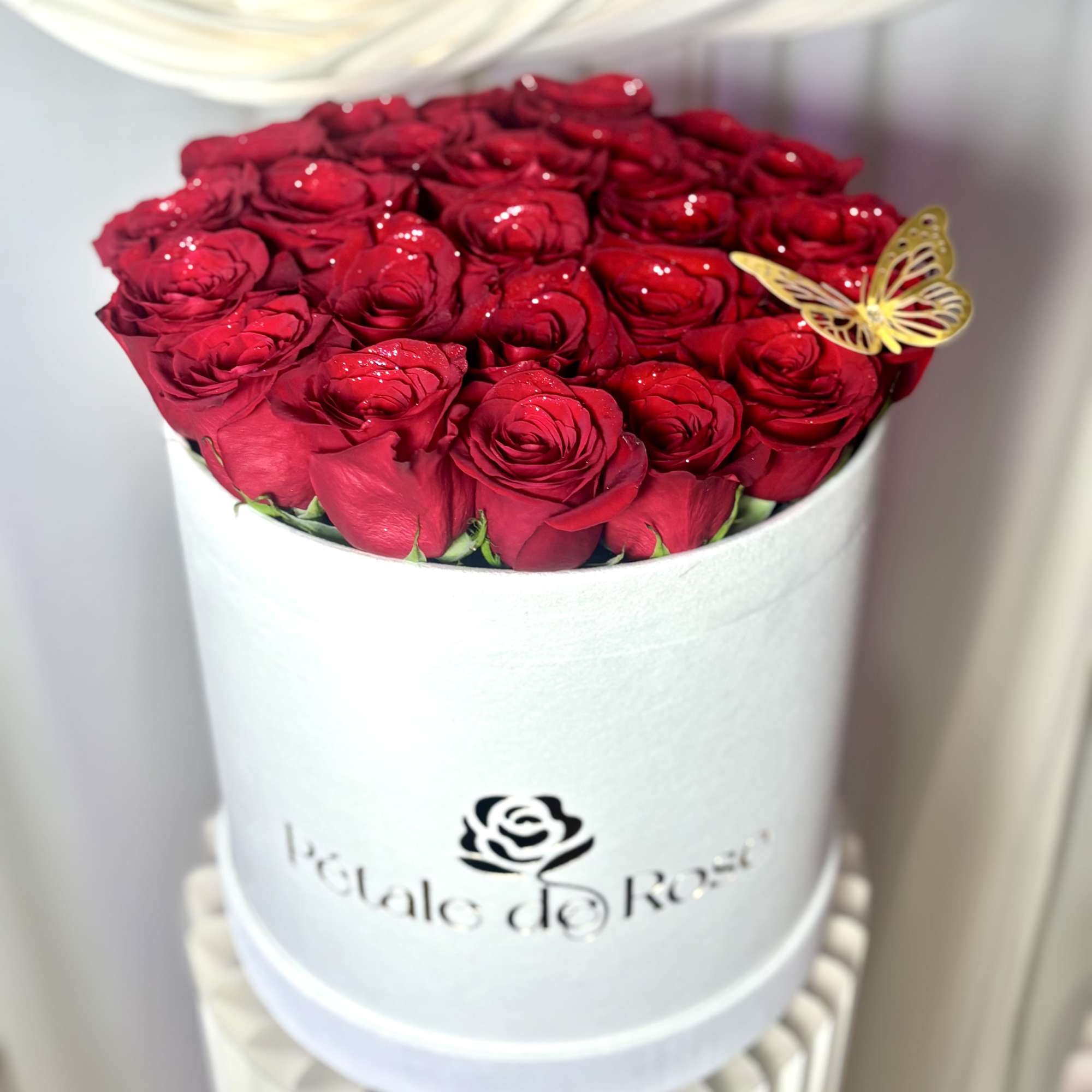 Enjoy our most lovely roses