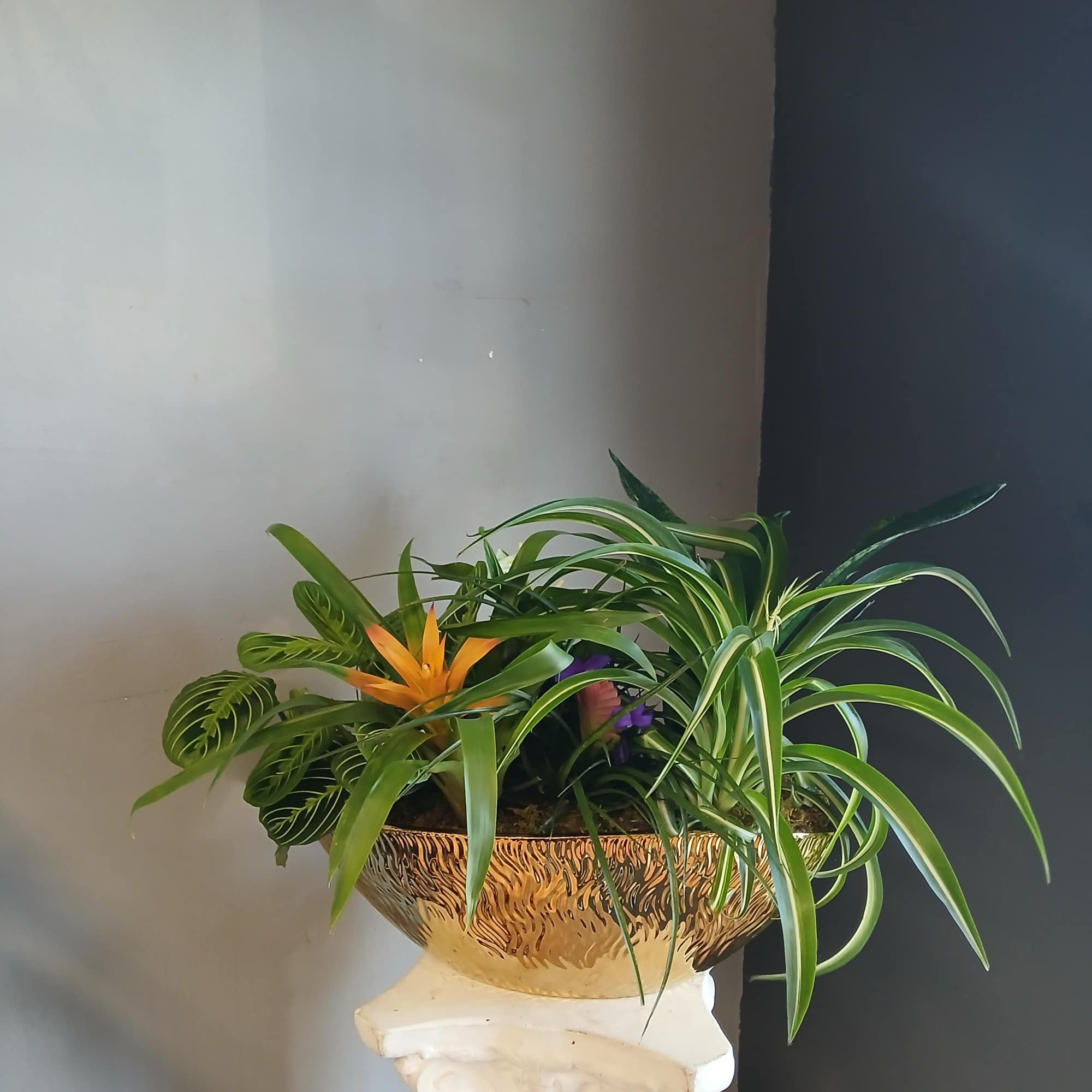 Mixed tropical plants in a gold bowl planter on a pedestal