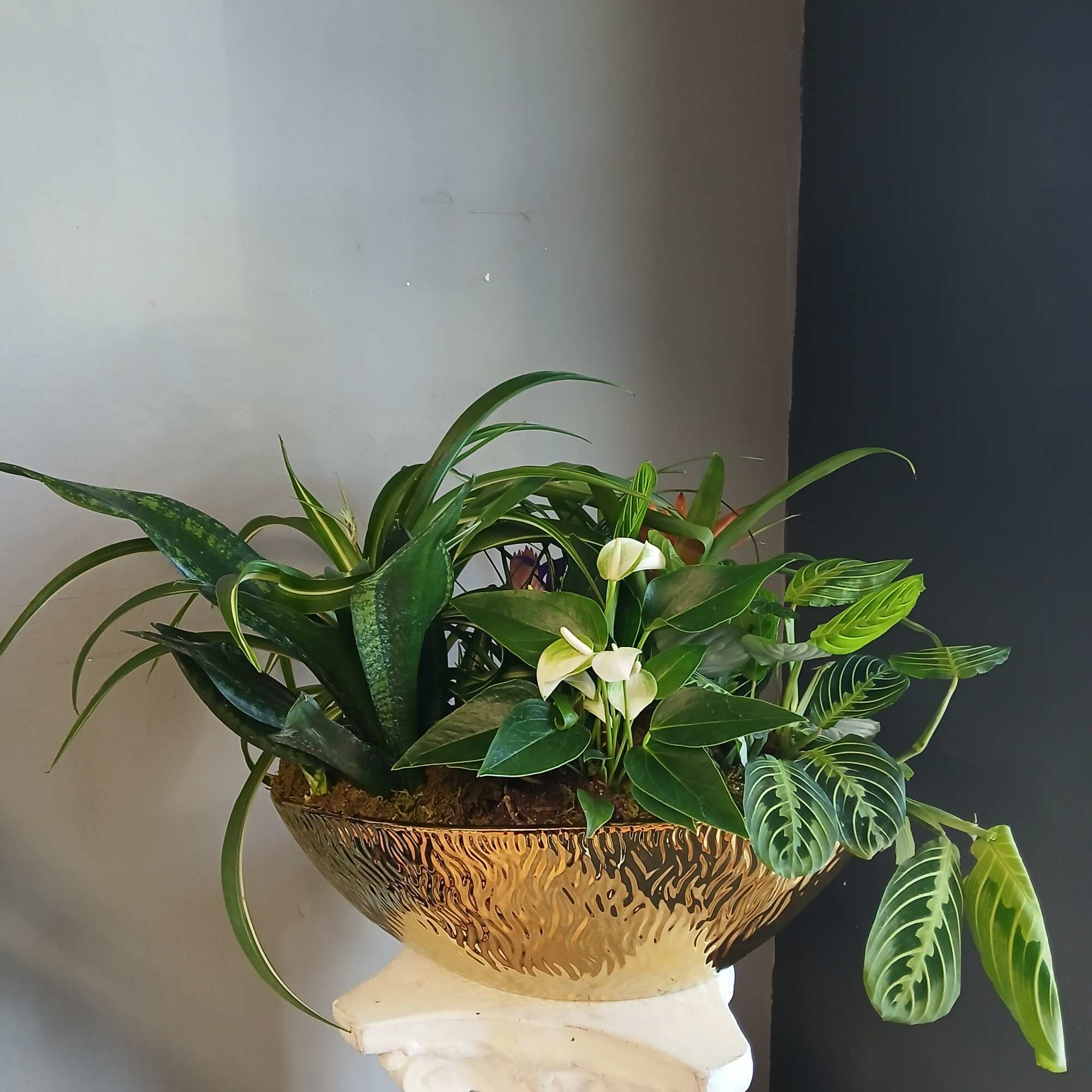 Mixed green houseplants in a gold bowl planter on a pedestal