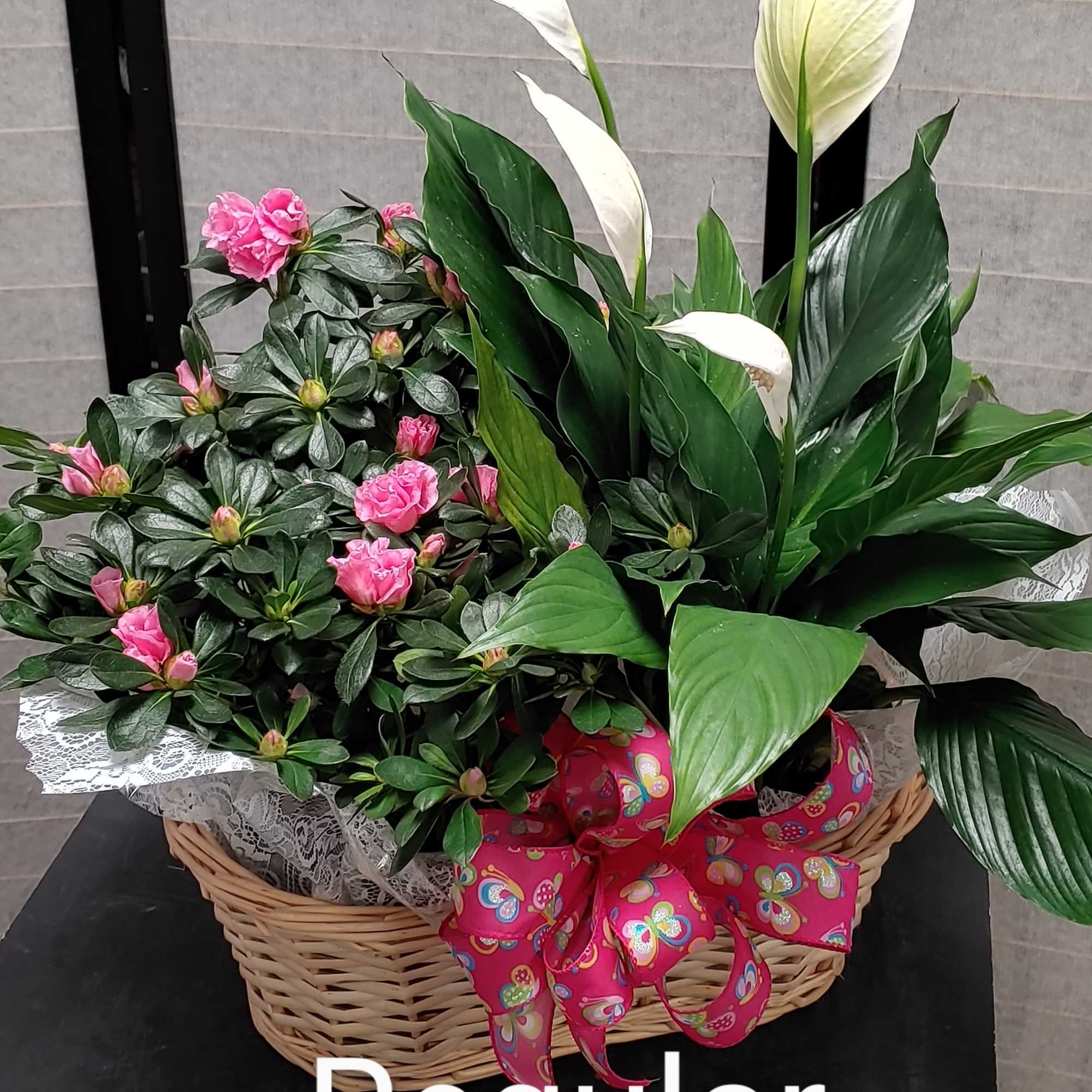 Basket arrangement with pink flowers and white peace lilies