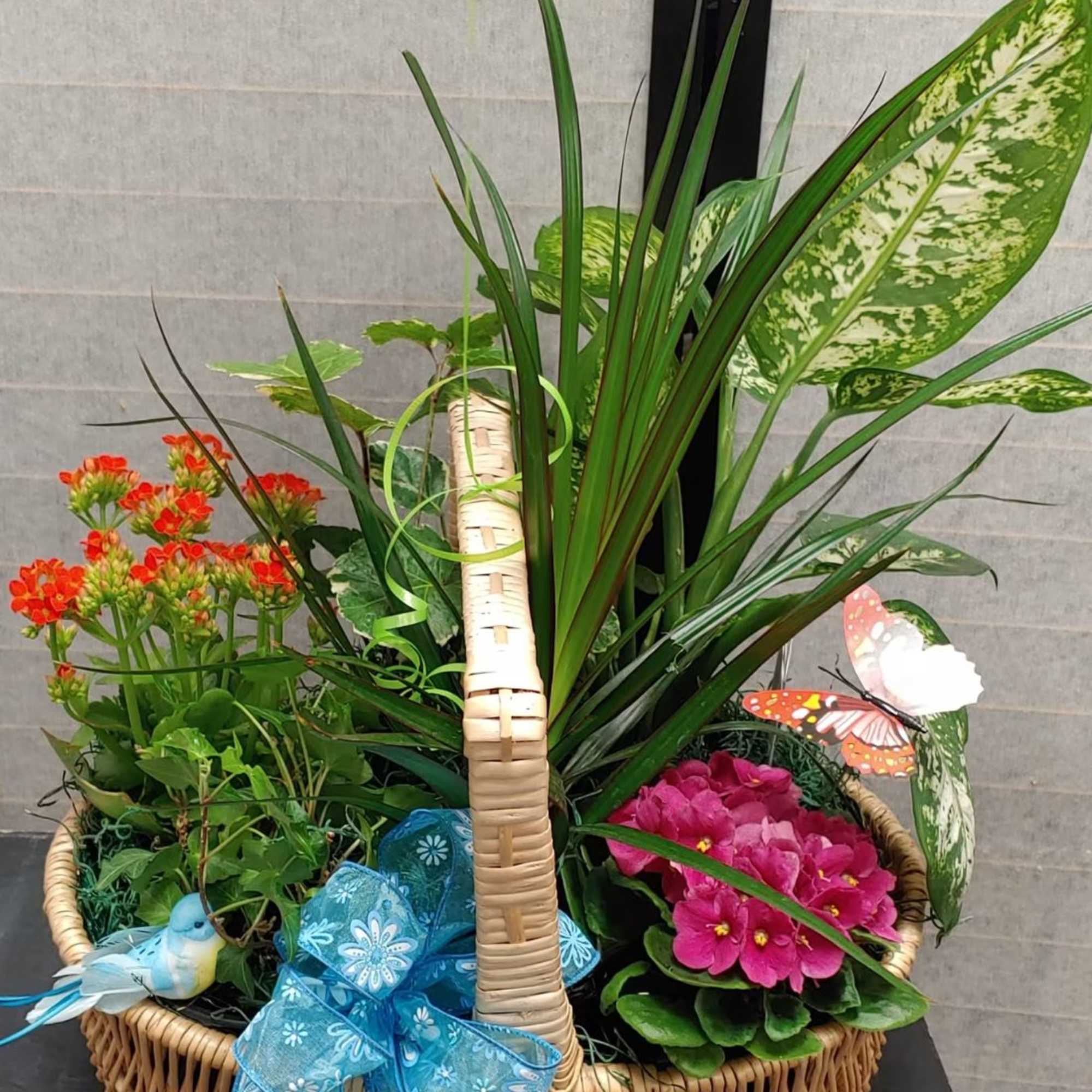 Basket arrangement with pink flowers, red blooms, and a blue ribbon