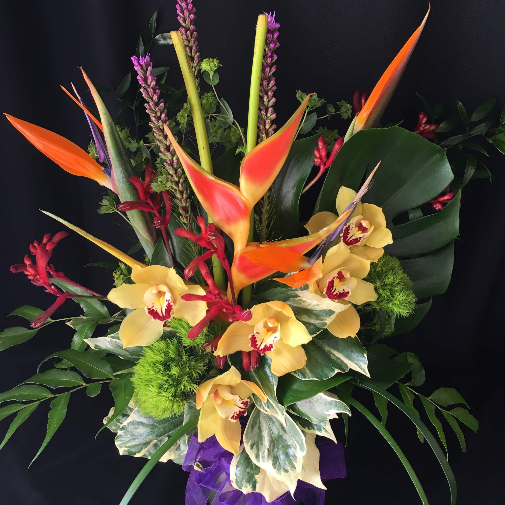 Let us WOW you with a Vibrant display of both Exotic and
