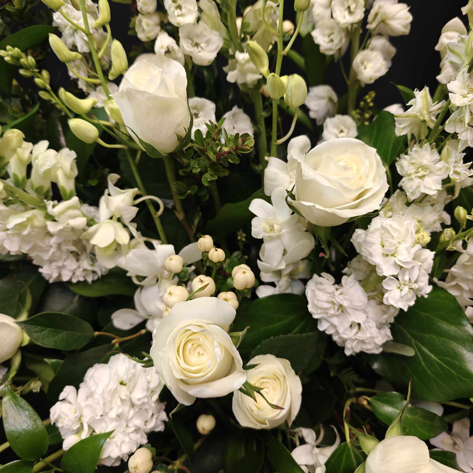White roses and clustered white blooms with dark green foliage