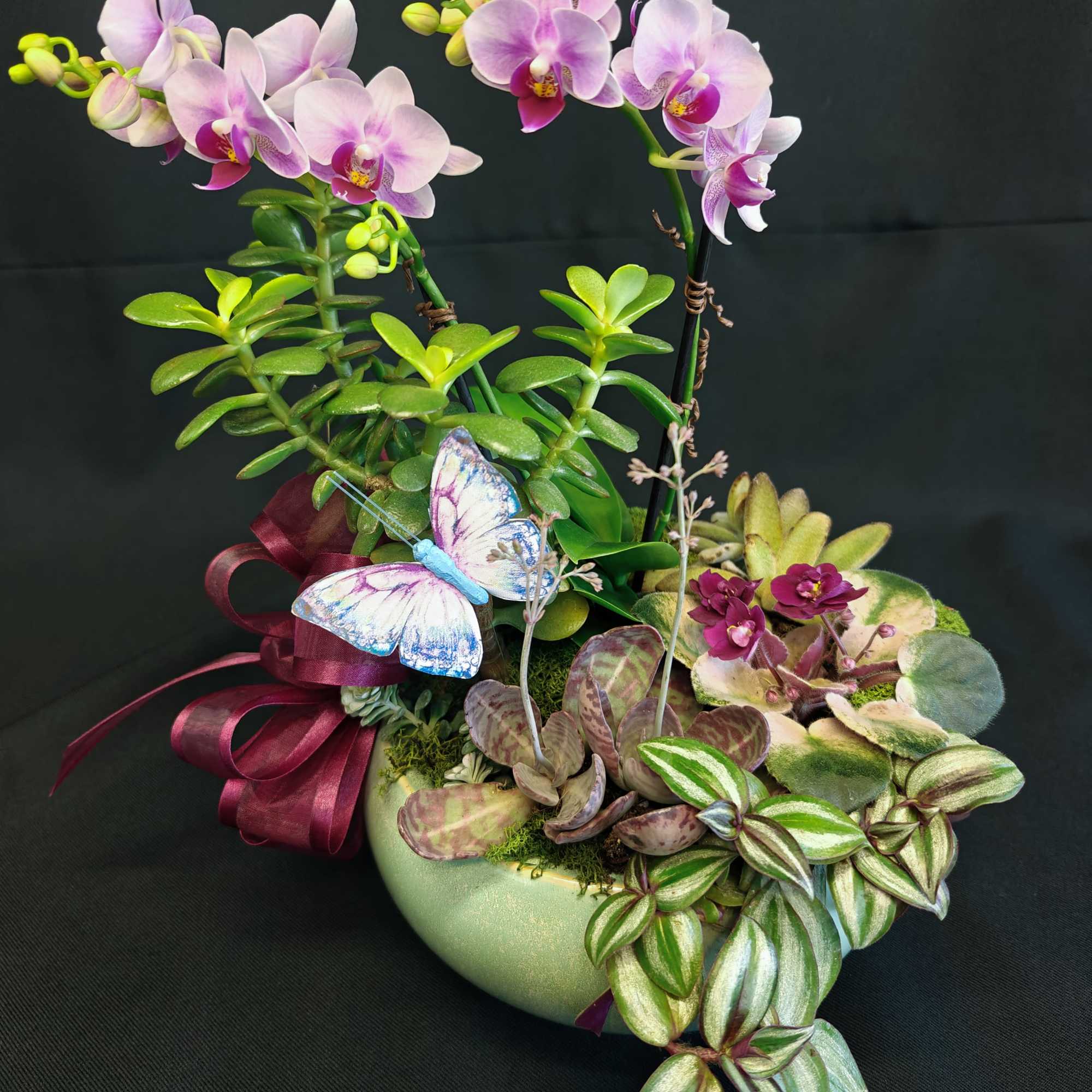 Medium size indoor potted garden to be enjoyed for many weeks. Blooming
