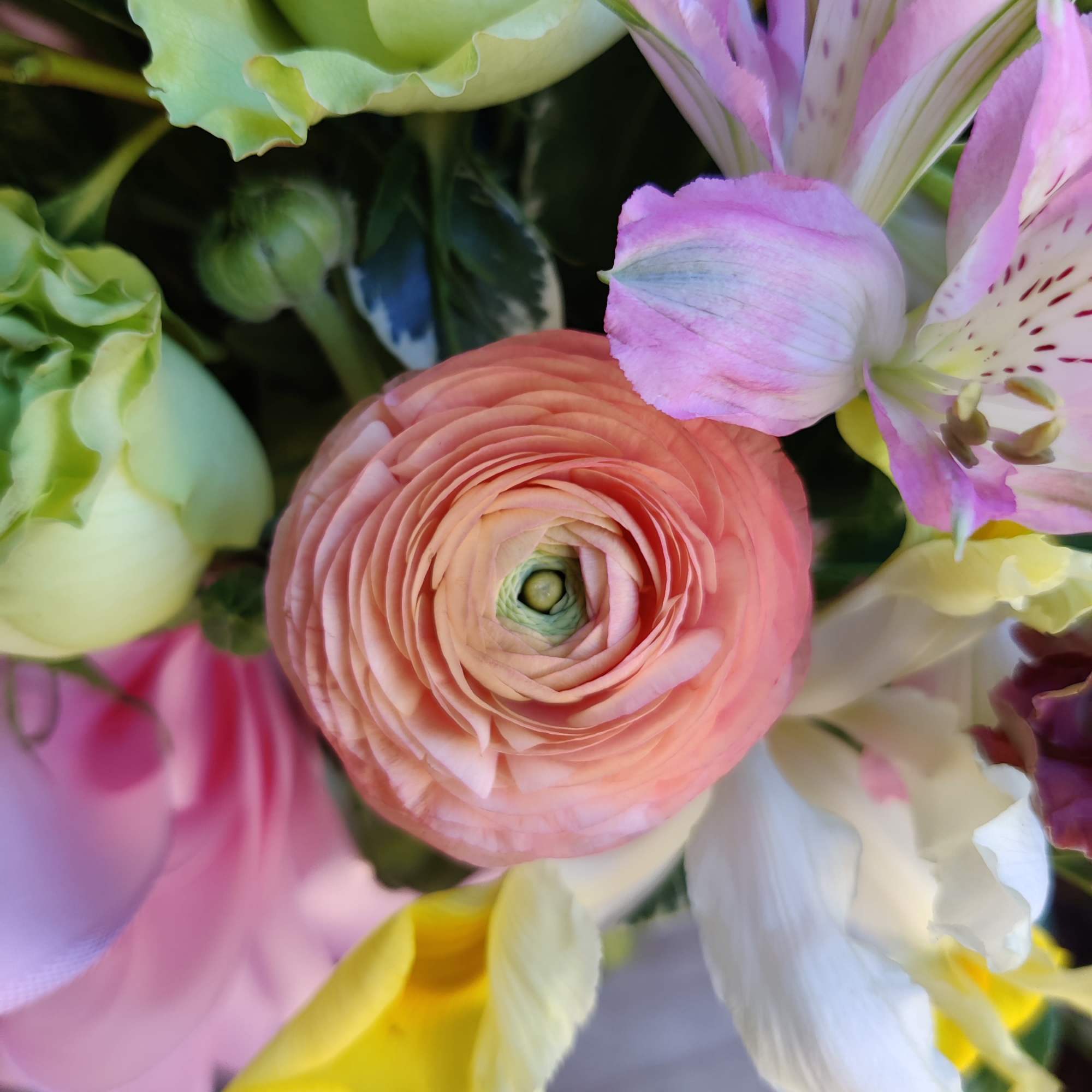Spring's prettiest assortment. Lovely light color palette and a mix of local